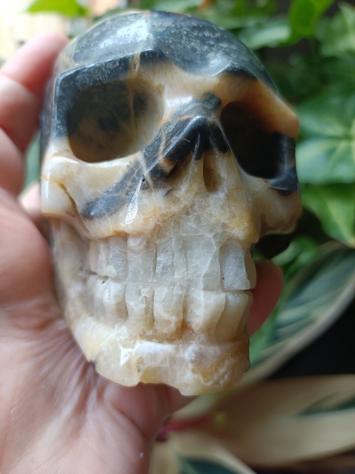 Blue Quartzite Skull Carving - 900g