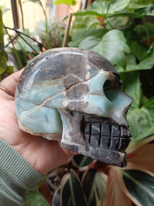 Blue Quartzite Skull Carving - 1184g