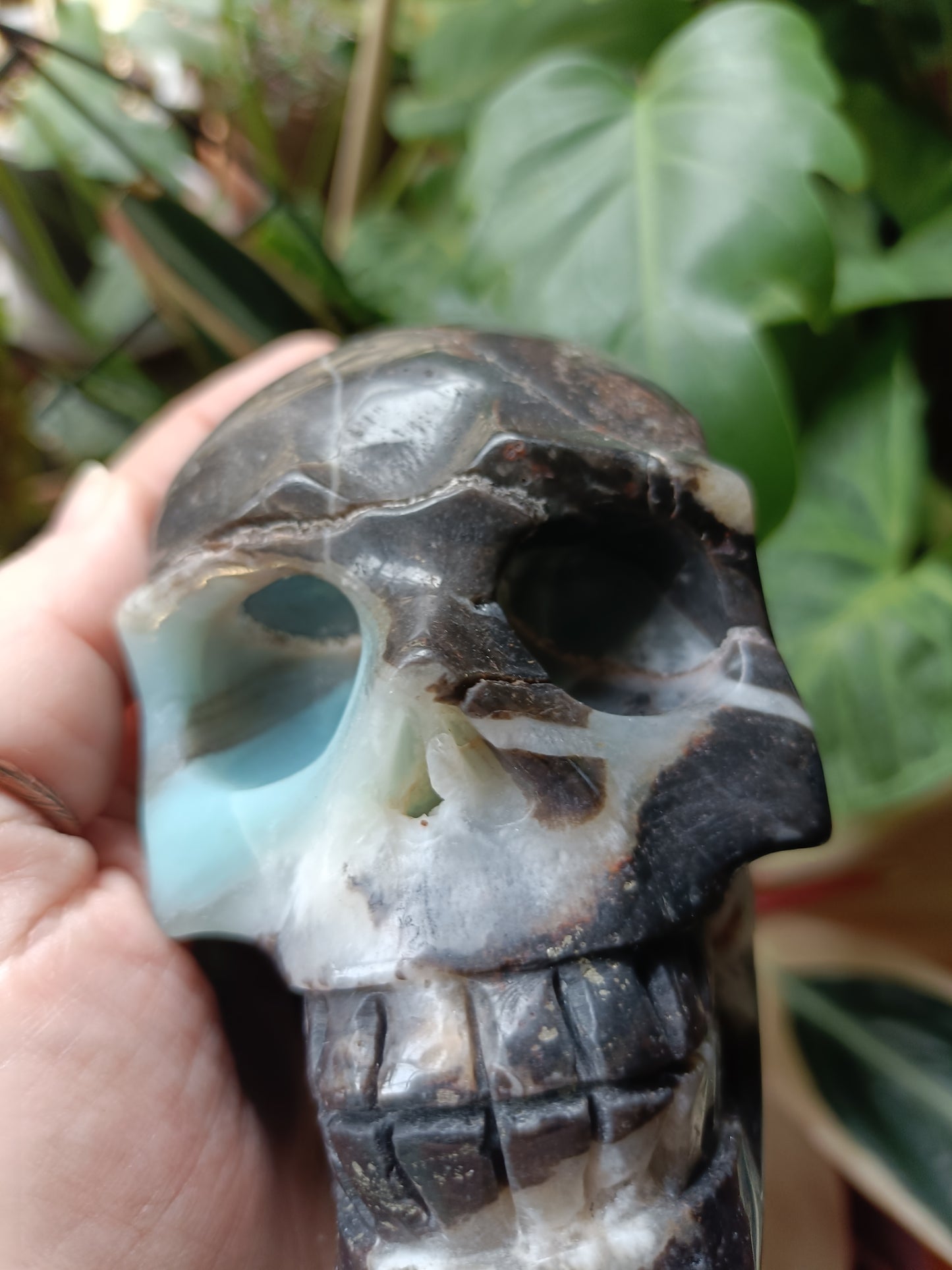 Blue Quartzite Skull Carving - 1184g