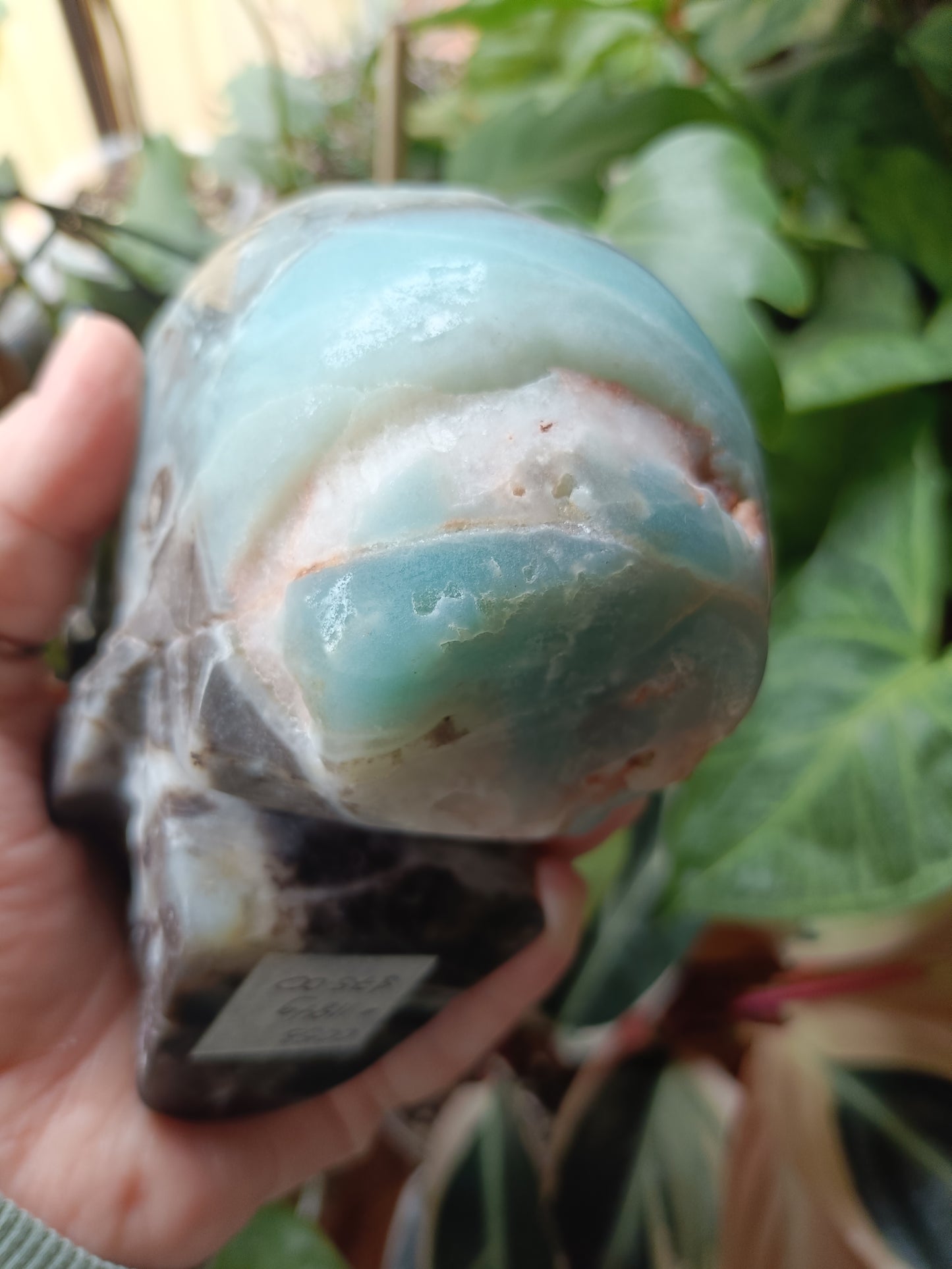 Blue Quartzite Skull Carving - 1184g