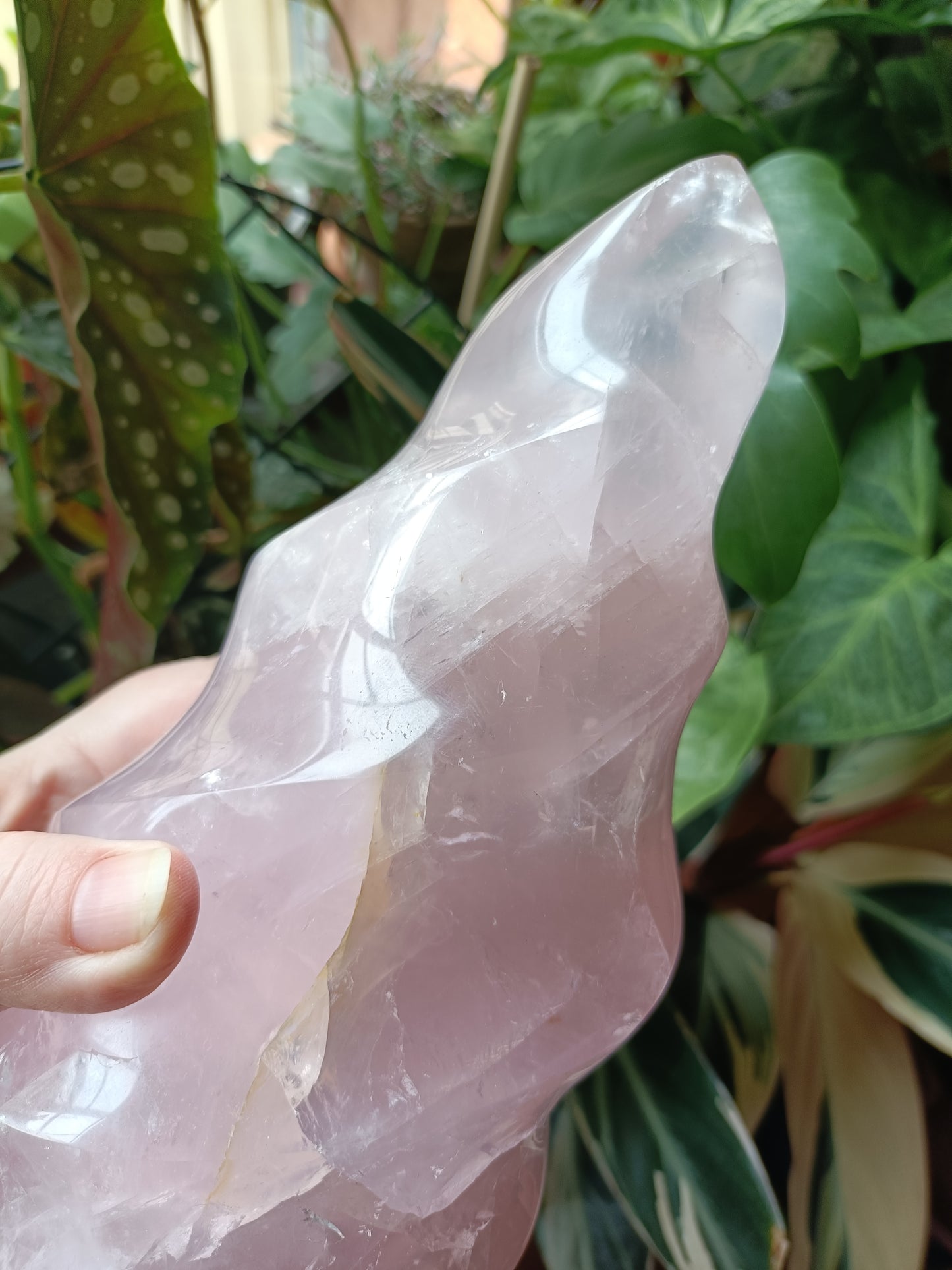 Rose Quartz Flame Carving - 1947g