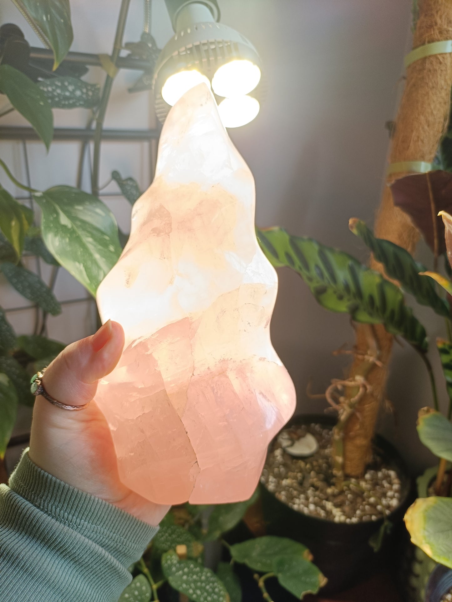 Rose Quartz Flame Carving - 1947g
