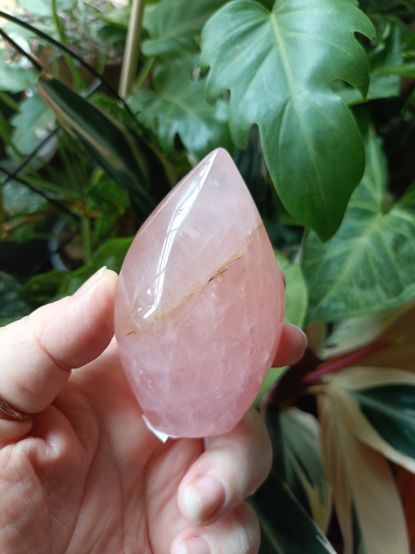 Rose Quartz & Golden Healer Teardrop Freeform - 216g