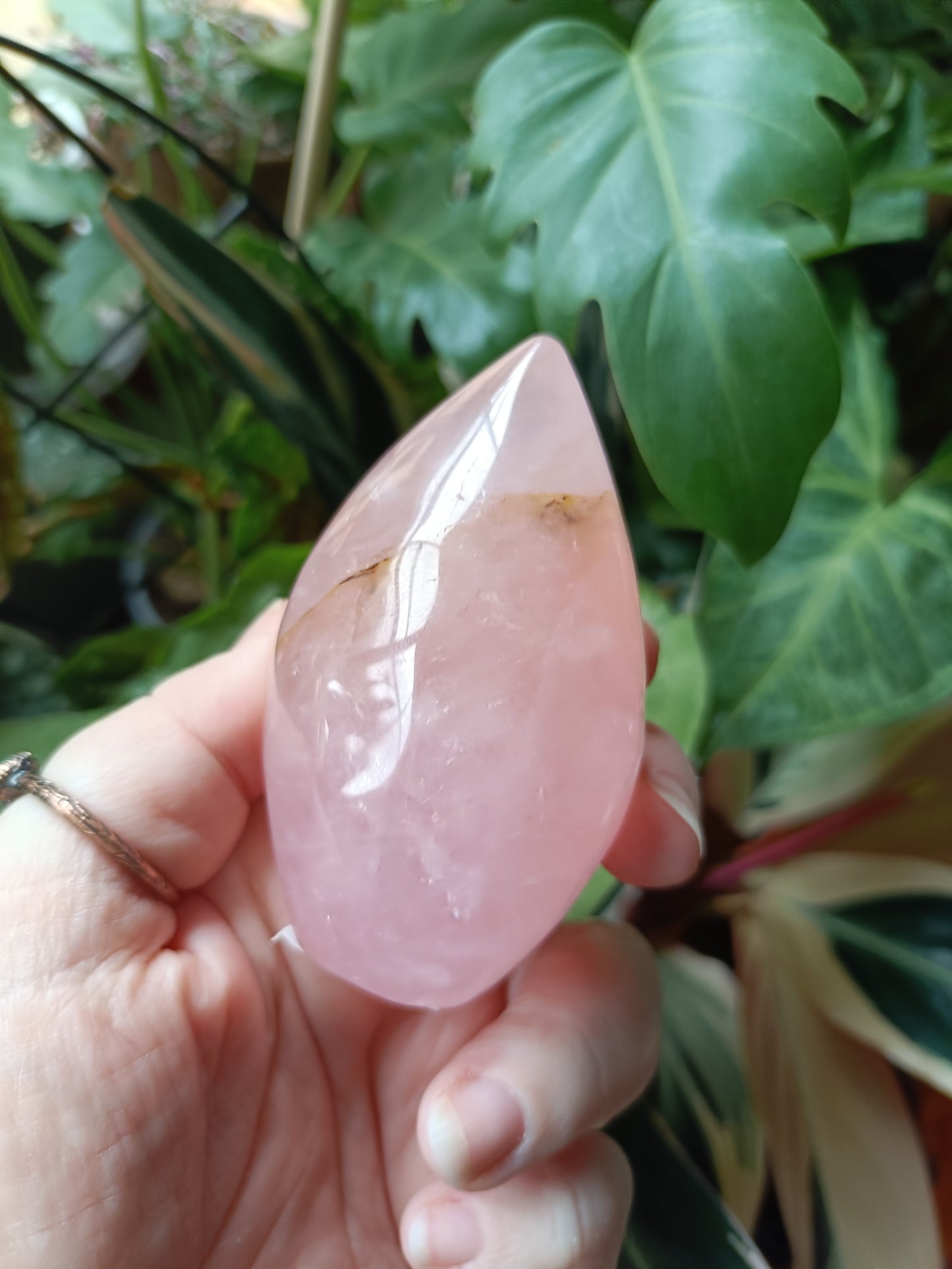 Rose Quartz & Golden Healer Teardrop Freeform - 216g