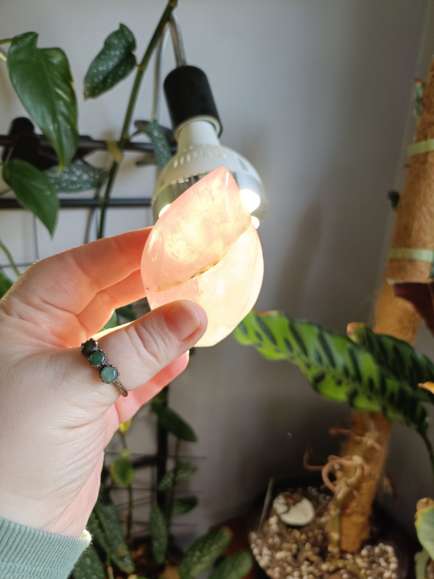 Rose Quartz & Golden Healer Teardrop Freeform - 216g