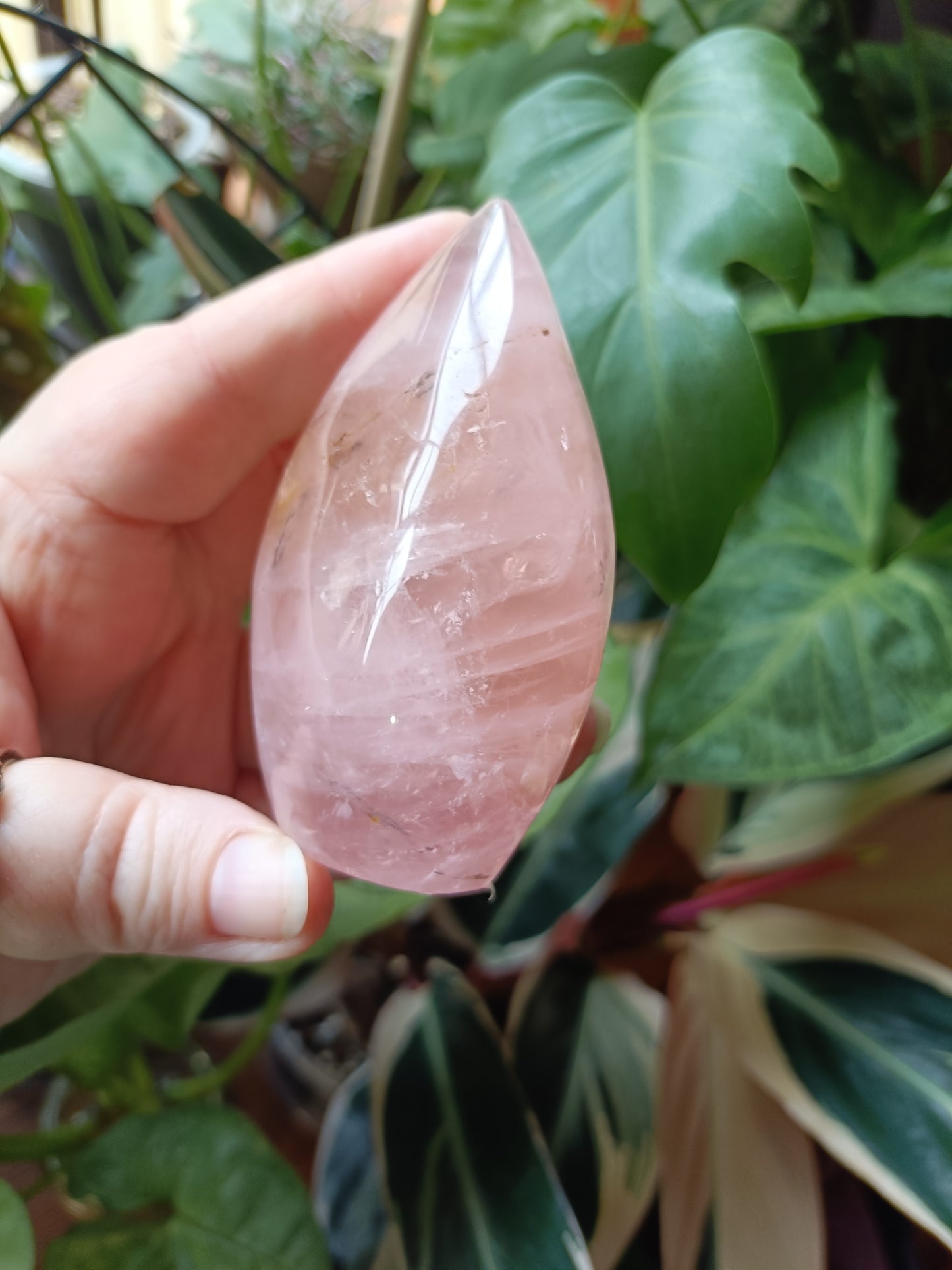 Rose Quartz & Golden Healer Teardrop Freeform - 214g