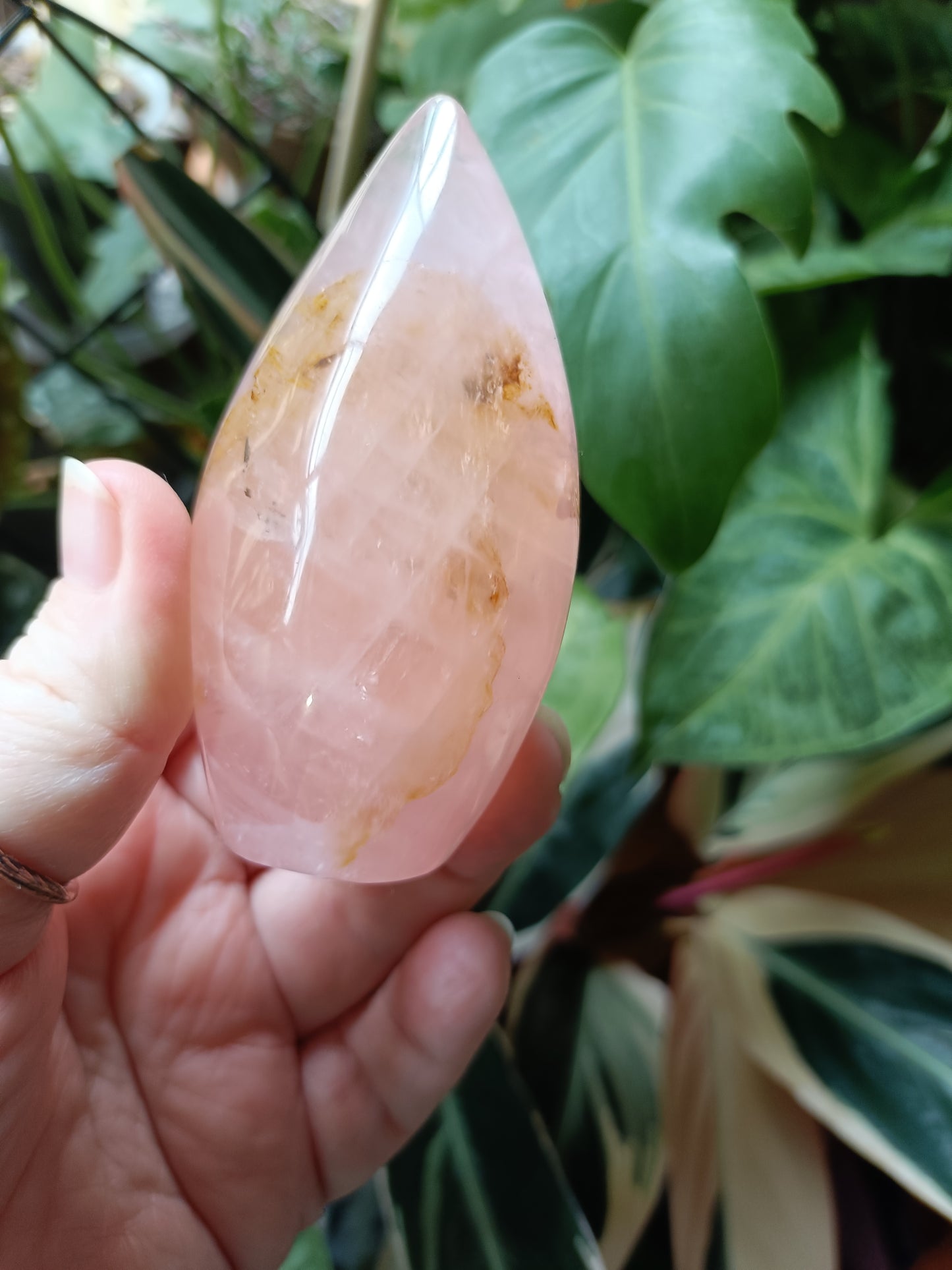 Rose Quartz & Golden Healer Teardrop Freeform - 214g