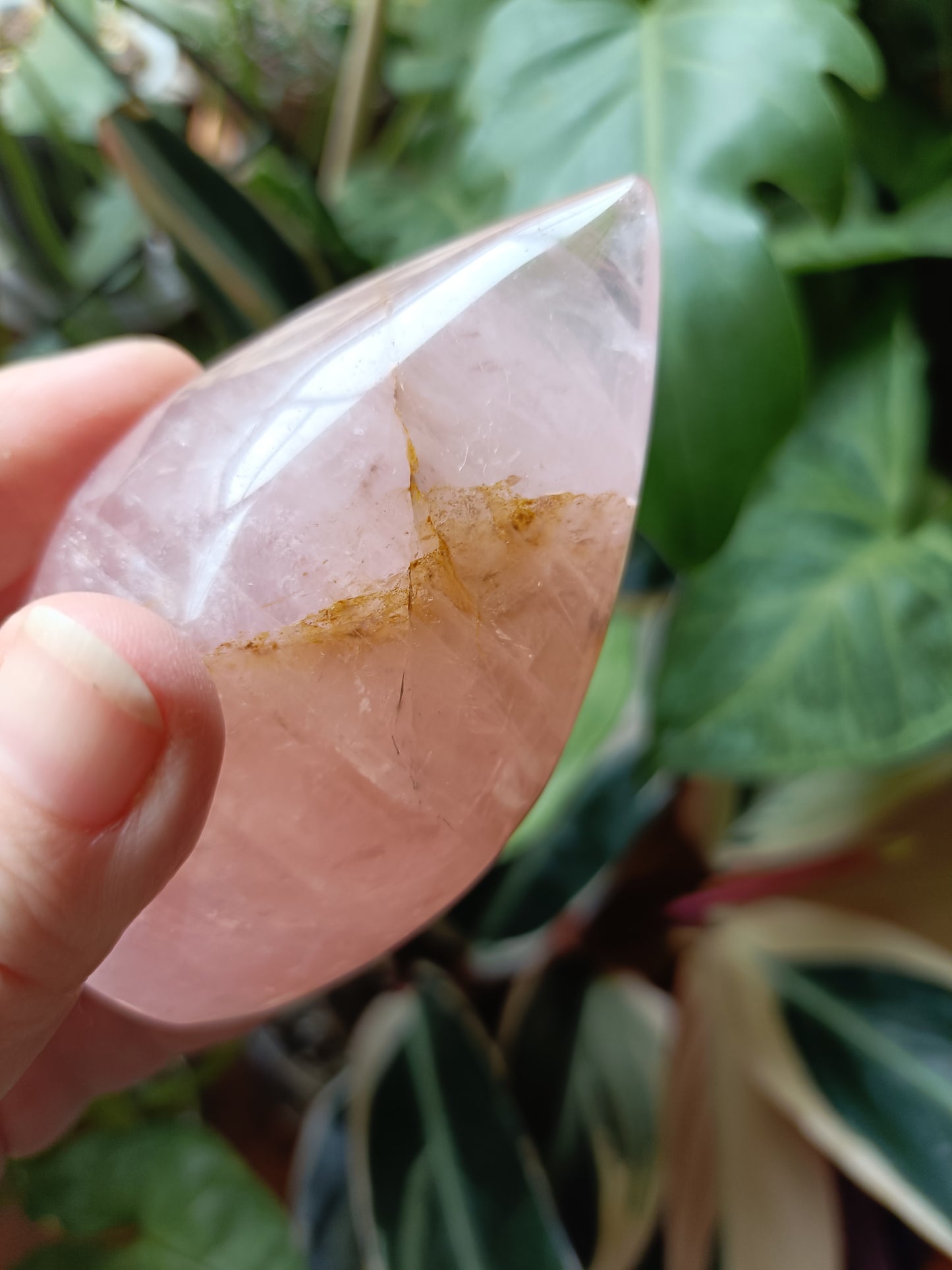 Rose Quartz & Golden Healer Teardrop Freeform - 214g