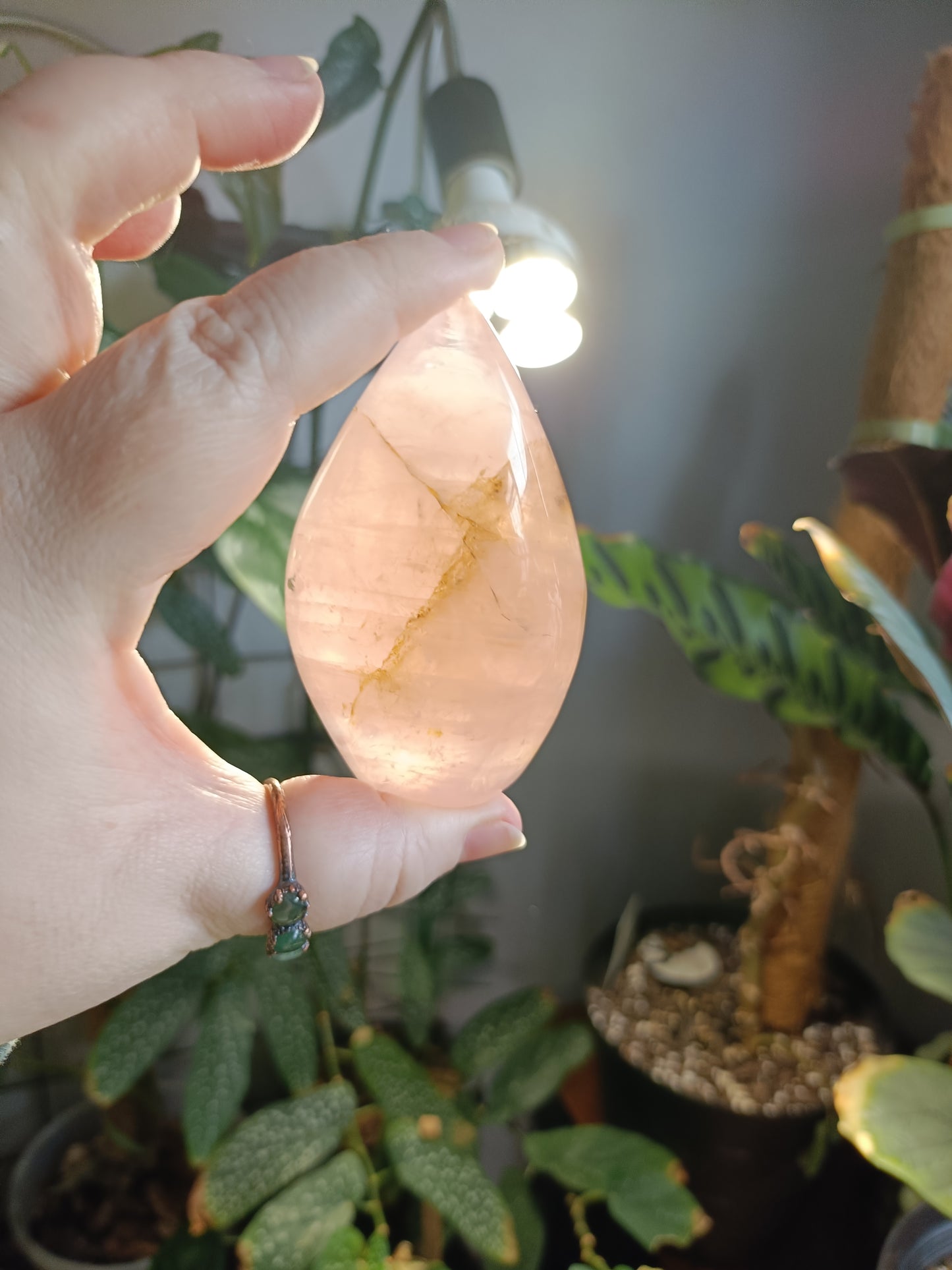 Rose Quartz & Golden Healer Teardrop Freeform - 214g
