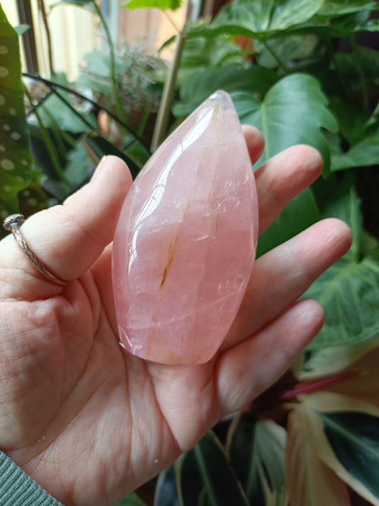 Rose Quartz & Golden Healer Teardrop Freeform - 238g