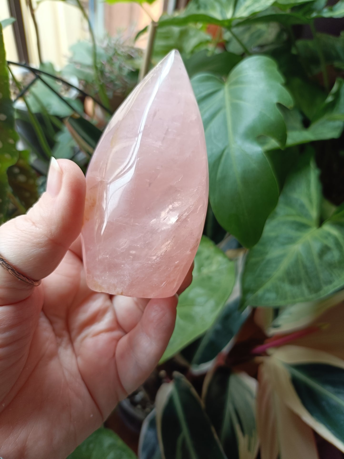 Rose Quartz & Golden Healer Teardrop Freeform - 238g