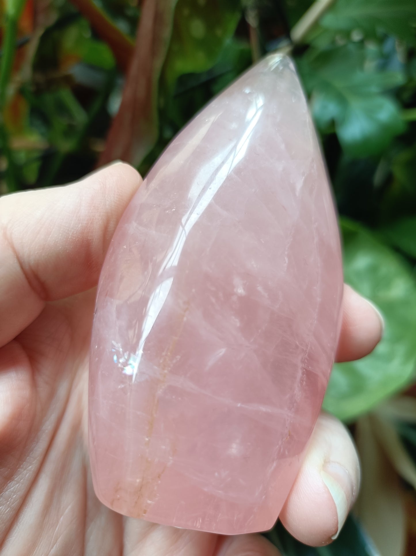 Rose Quartz & Golden Healer Teardrop Freeform - 238g