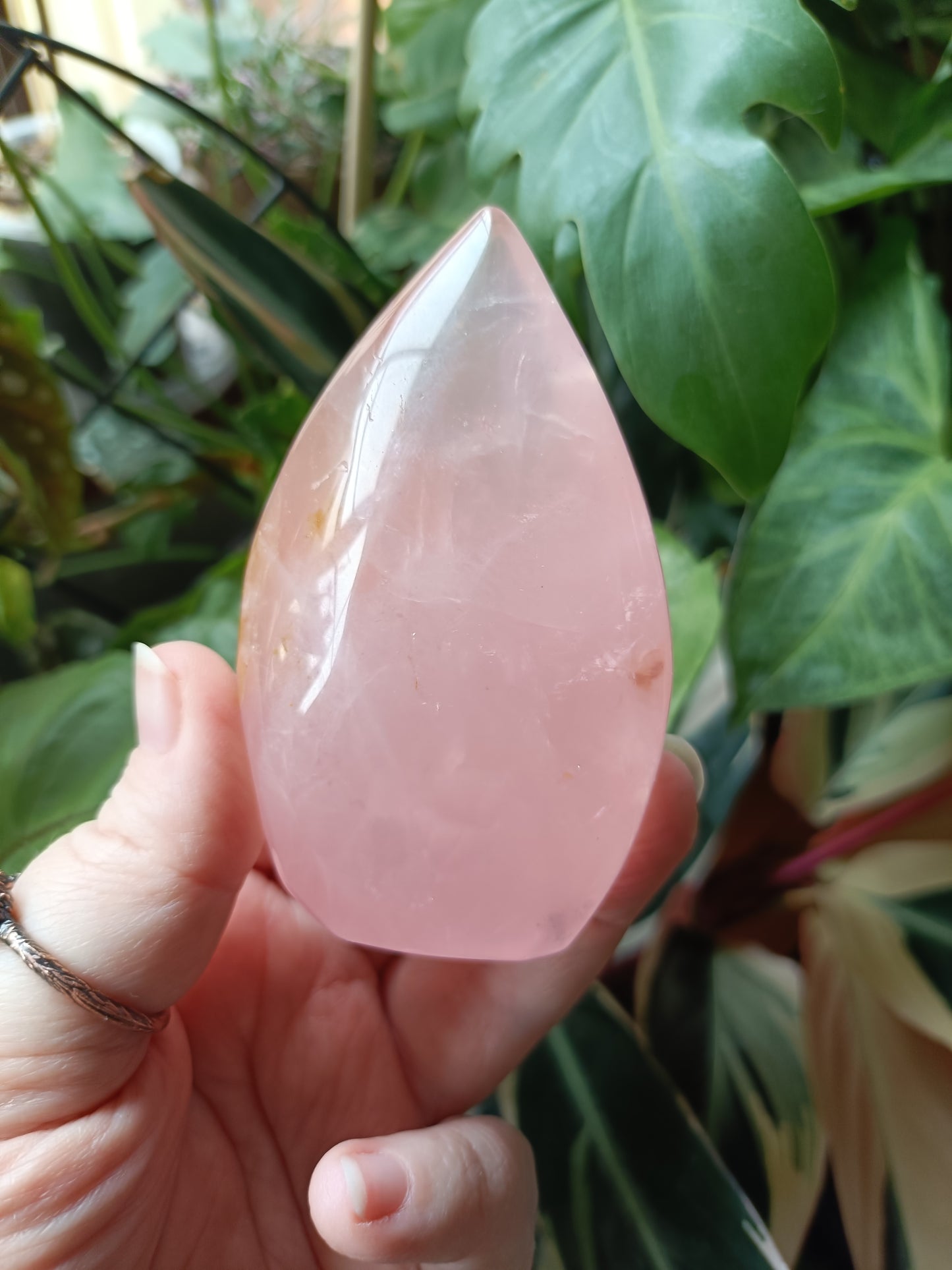 Rose Quartz & Golden Healer Teardrop Freeform - 239g