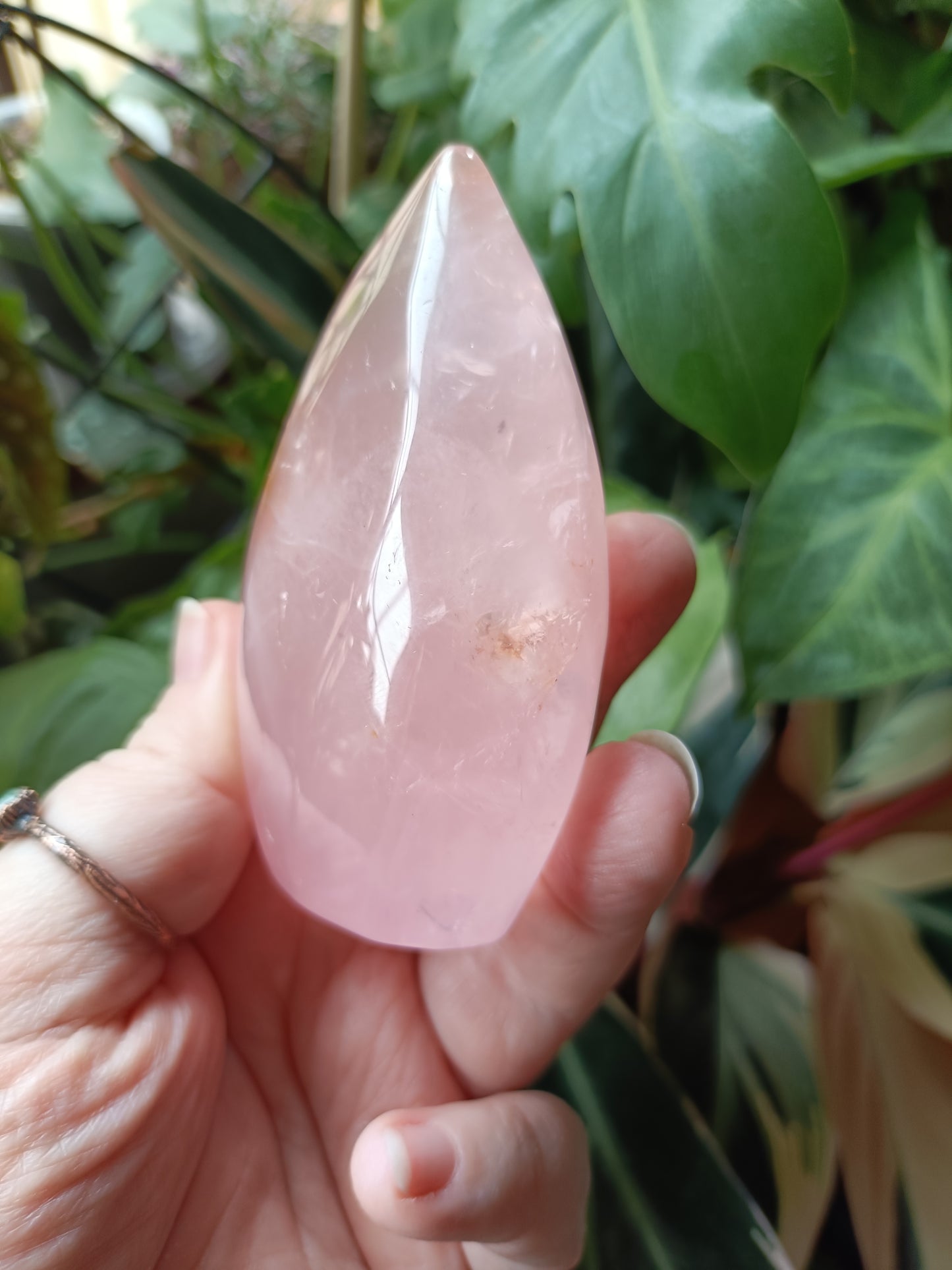 Rose Quartz & Golden Healer Teardrop Freeform - 239g
