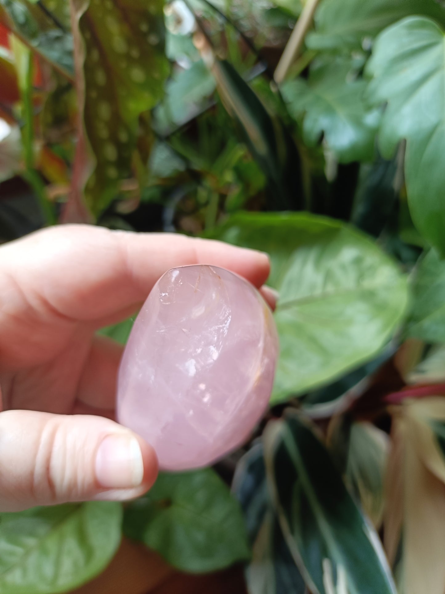 Rose Quartz & Golden Healer Teardrop Freeform - 239g