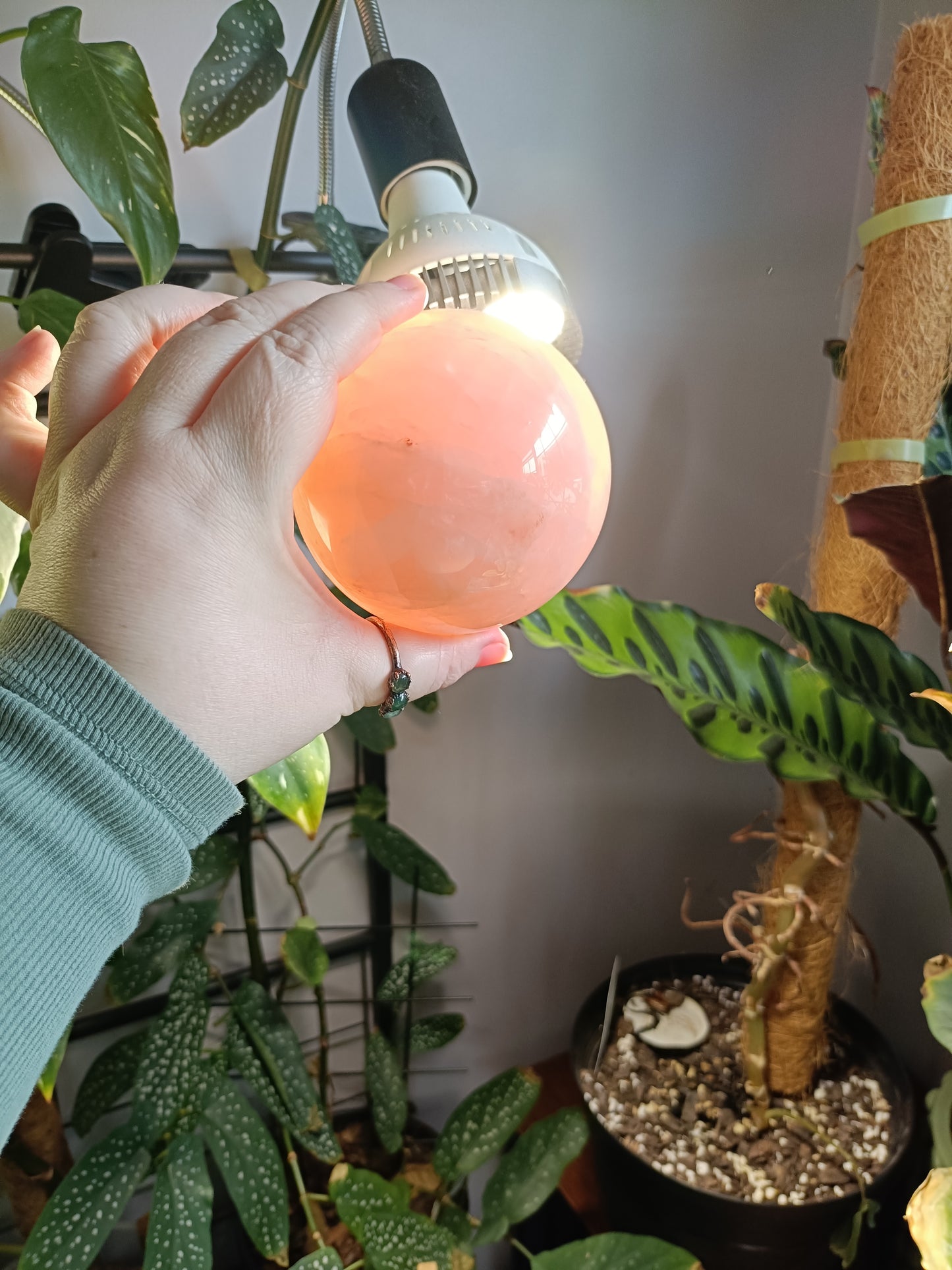 Rose Quartz Sphere - 1009g