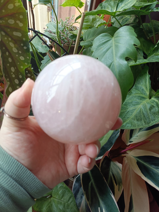 Rose Quartz Sphere - 1164g
