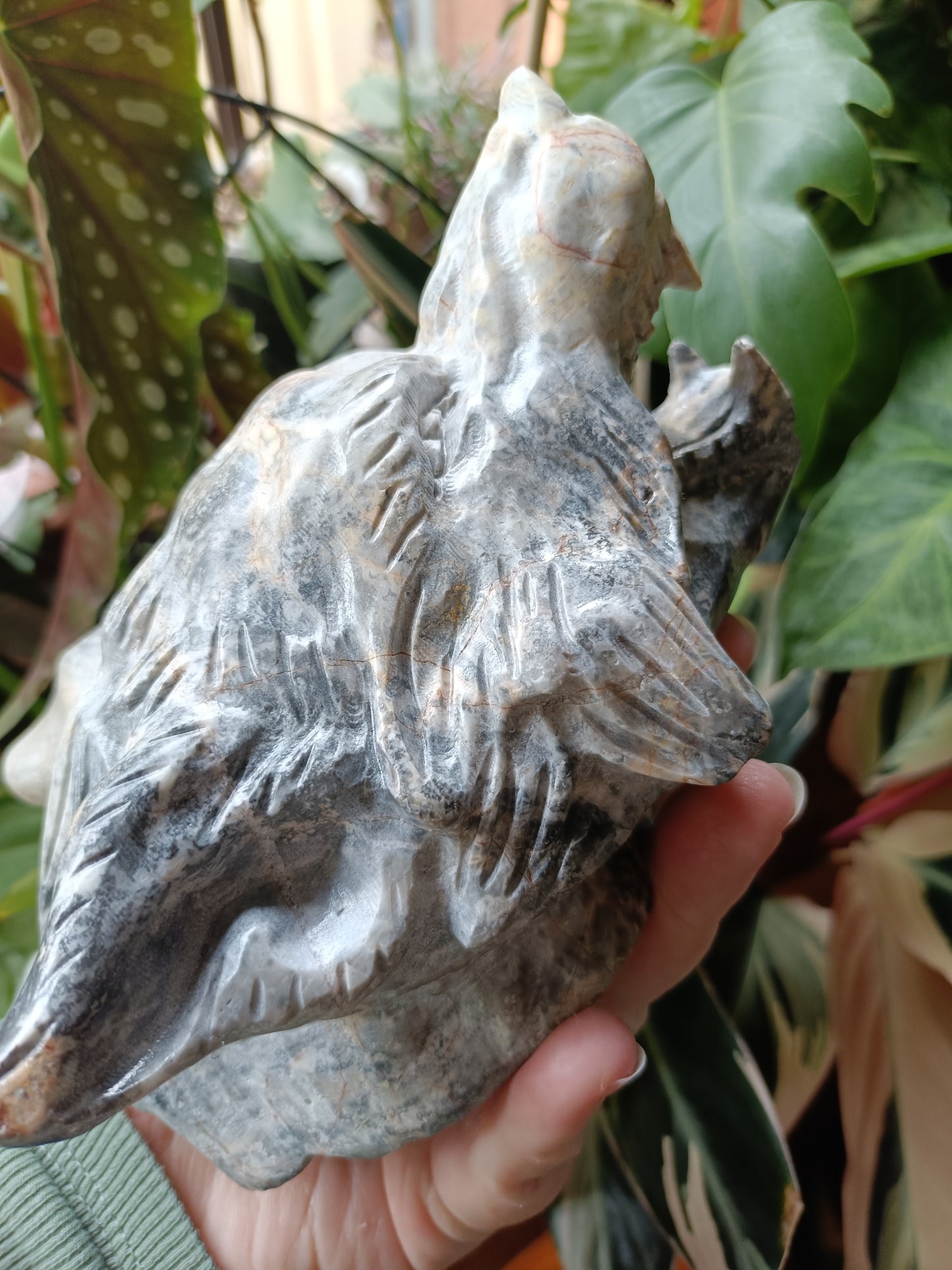 Picasso Jasper Wolf Head Carving - 1631g