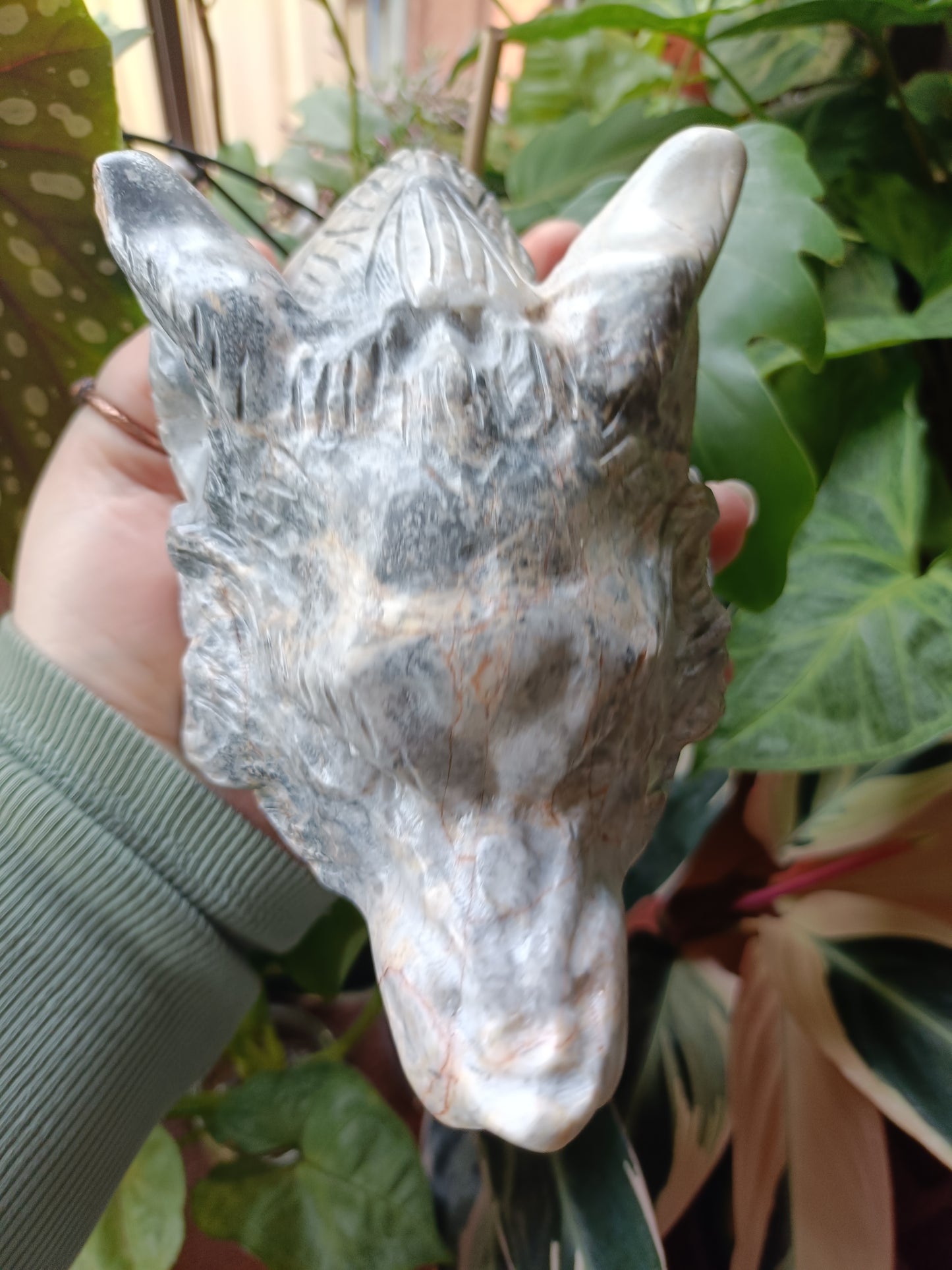 Picasso Jasper Wolf Head Carving - 1631g