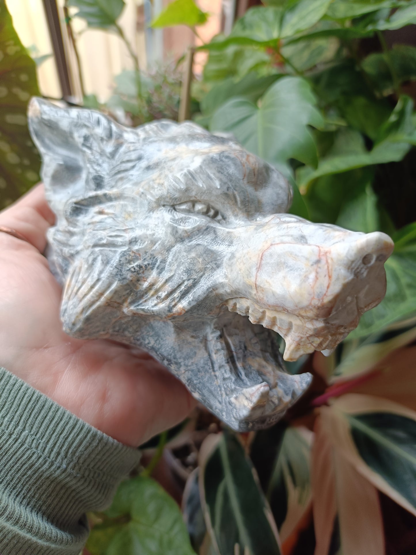 Picasso Jasper Wolf Head Carving - 1631g