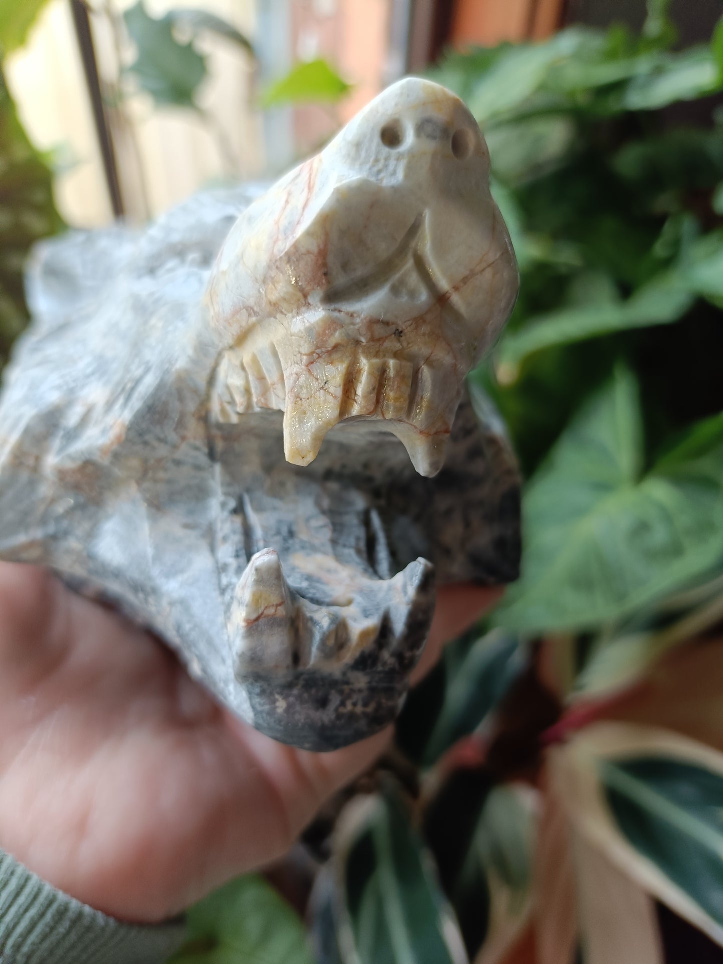 Picasso Jasper Wolf Head Carving - 1631g
