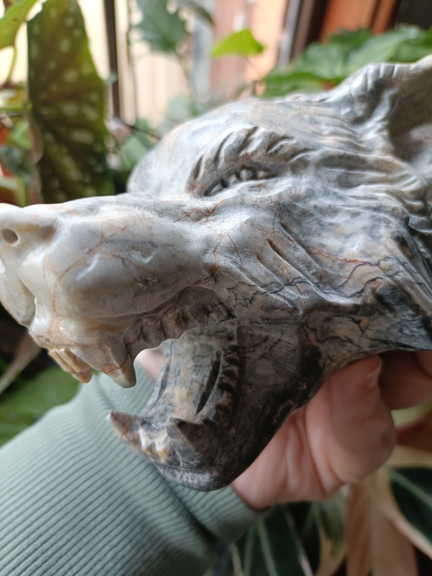 Picasso Jasper Wolf Head Carving - 1631g