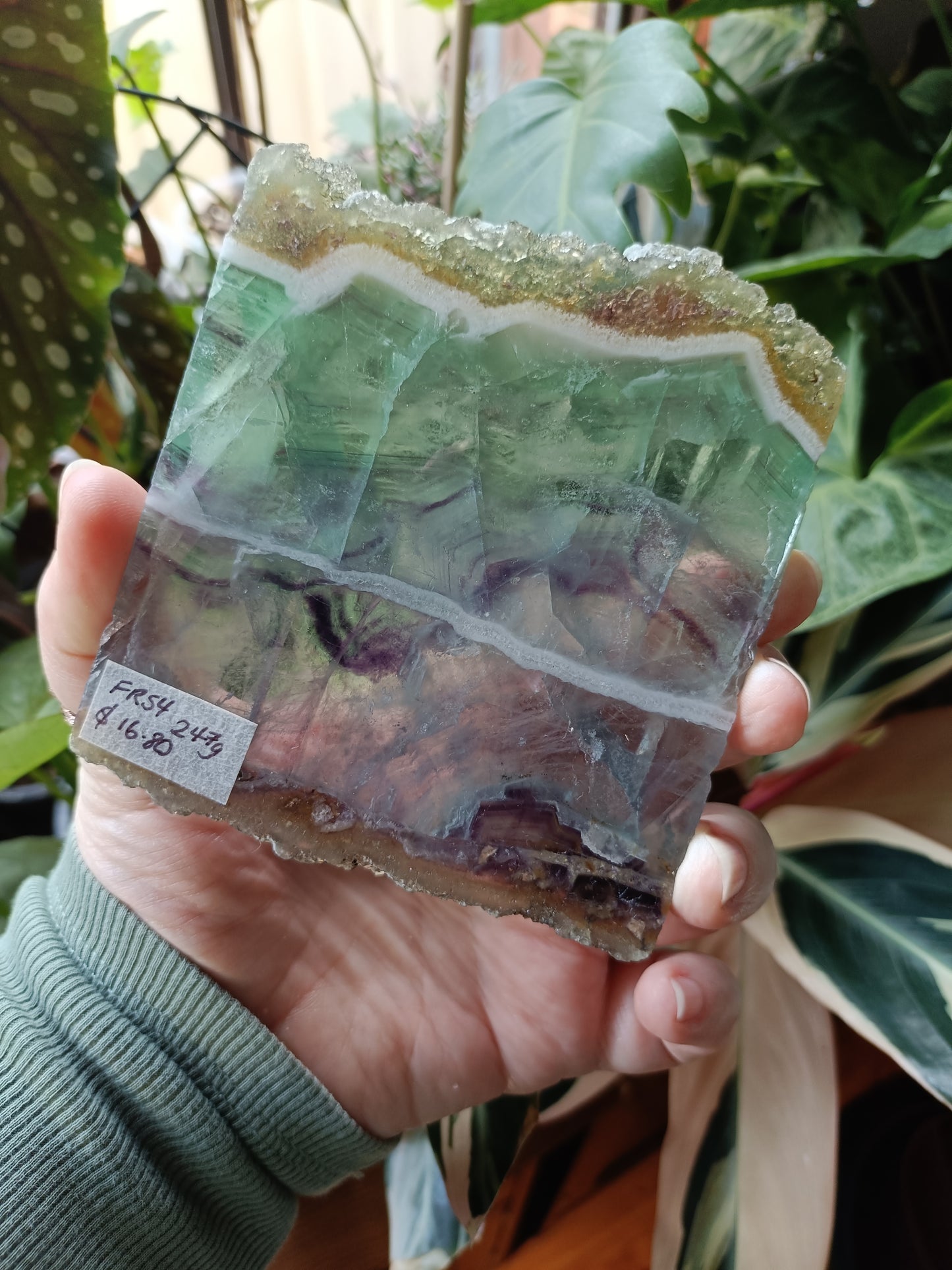 Raw Edge Fluorite Polished Slab - 247g