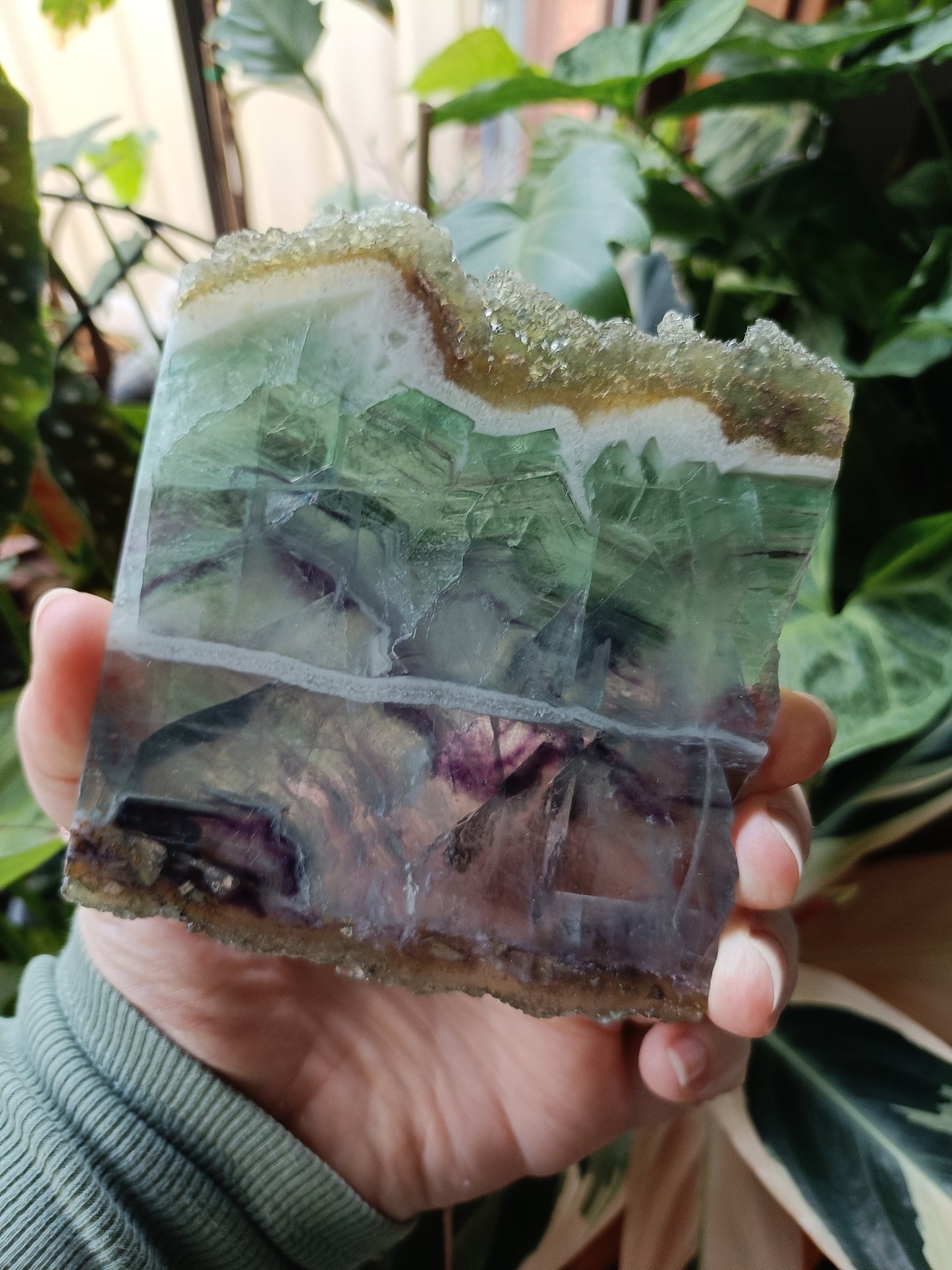 Raw Edge Fluorite Polished Slab - 247g
