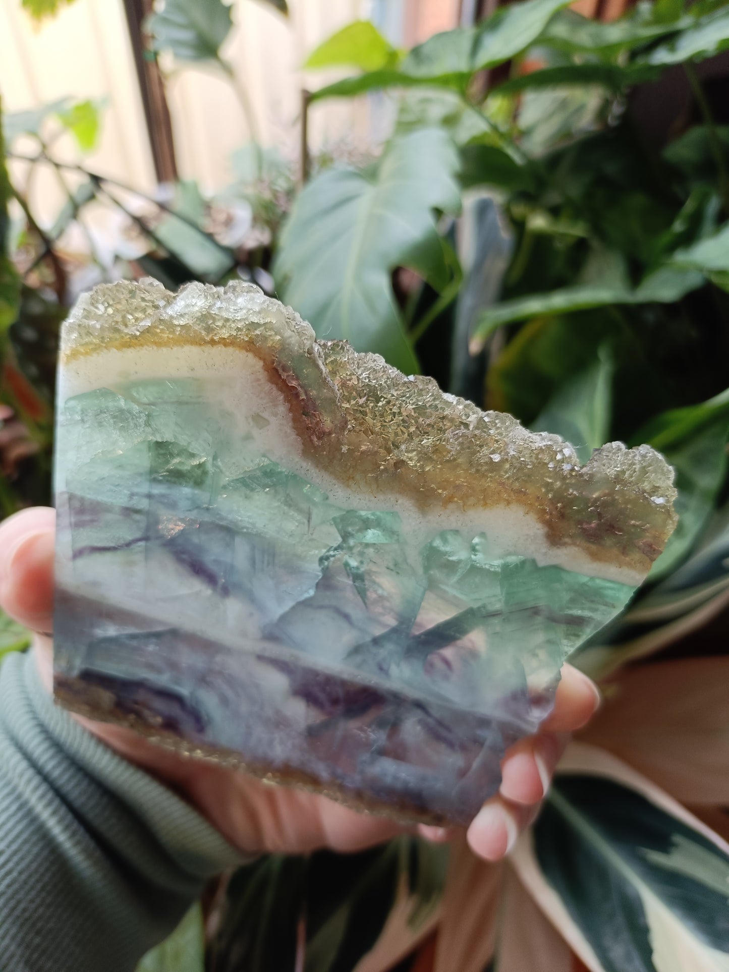 Raw Edge Fluorite Polished Slab - 247g