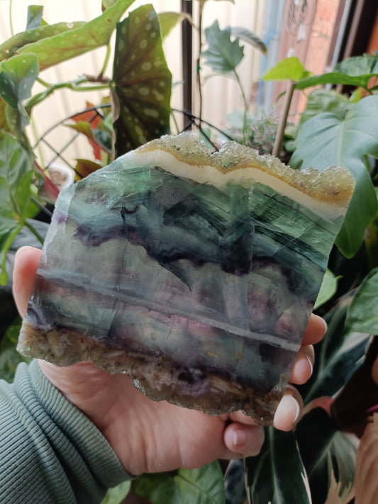 Raw Edge Fluorite Polished Slab - 405g