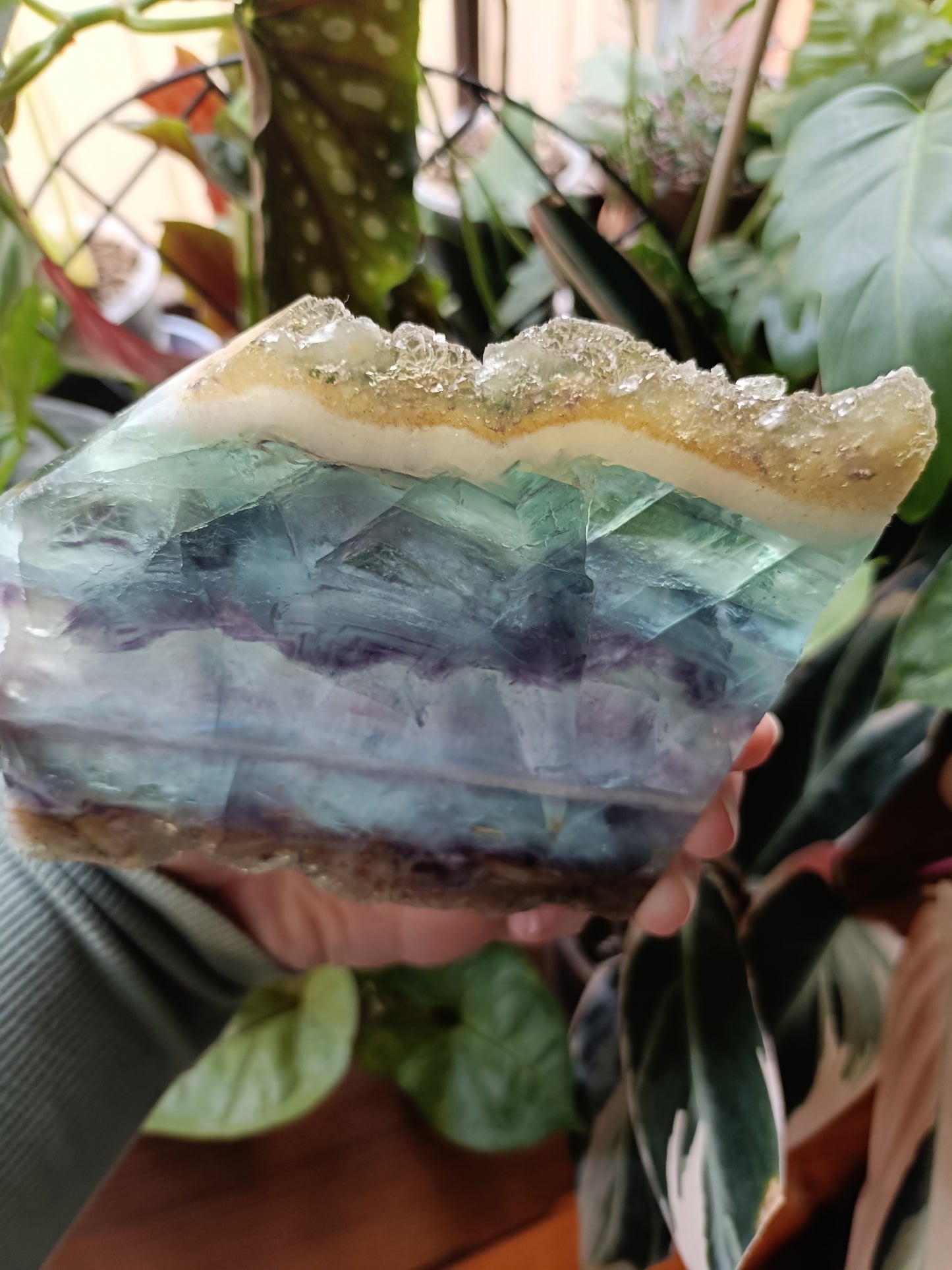 Raw Edge Fluorite Polished Slab - 405g