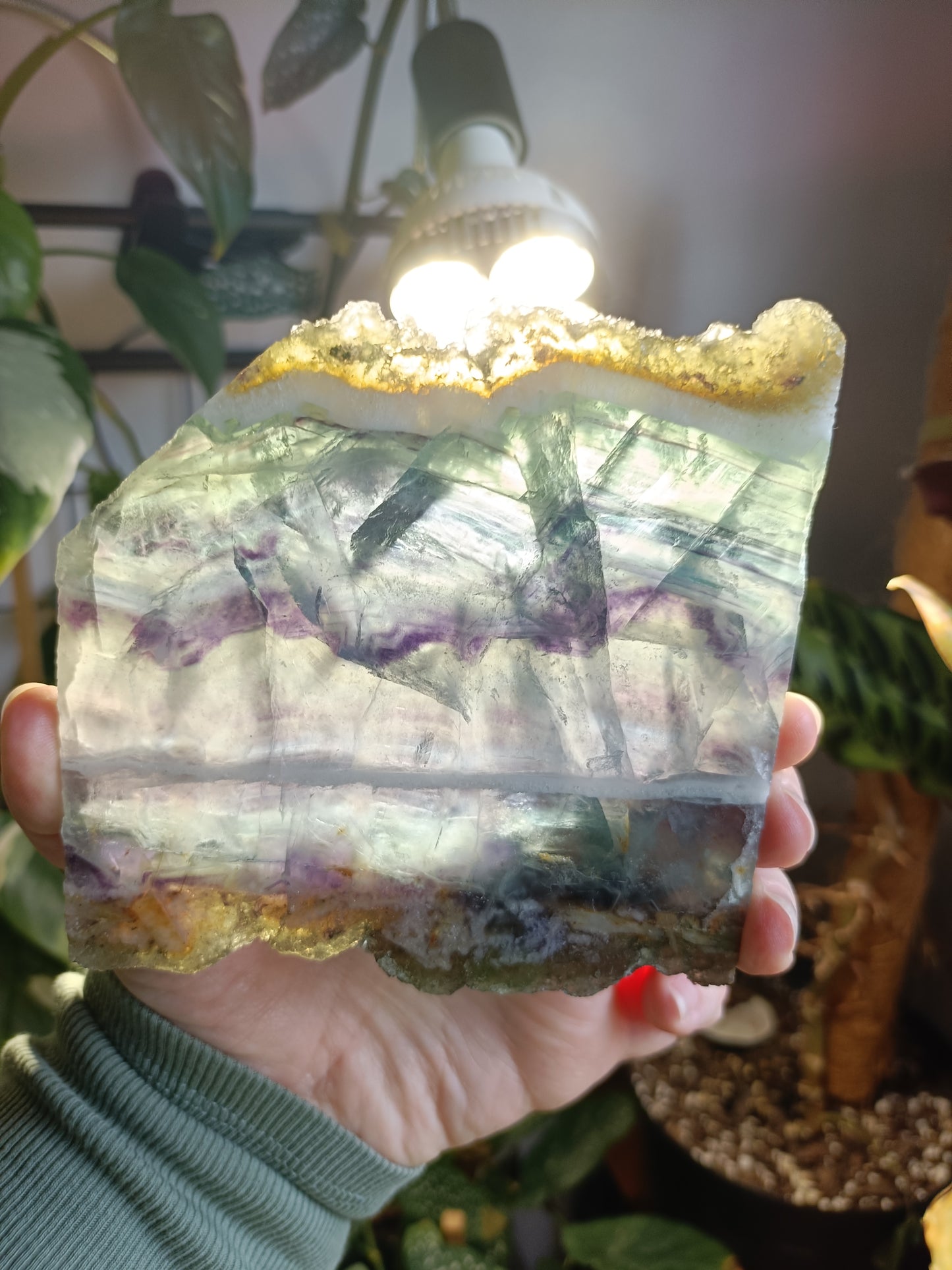 Raw Edge Fluorite Polished Slab - 405g