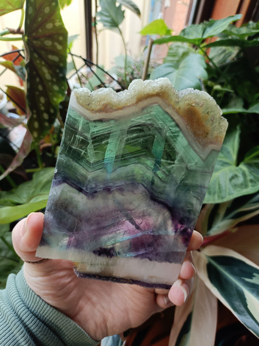 Raw Edge Fluorite Polished Slab - 305g