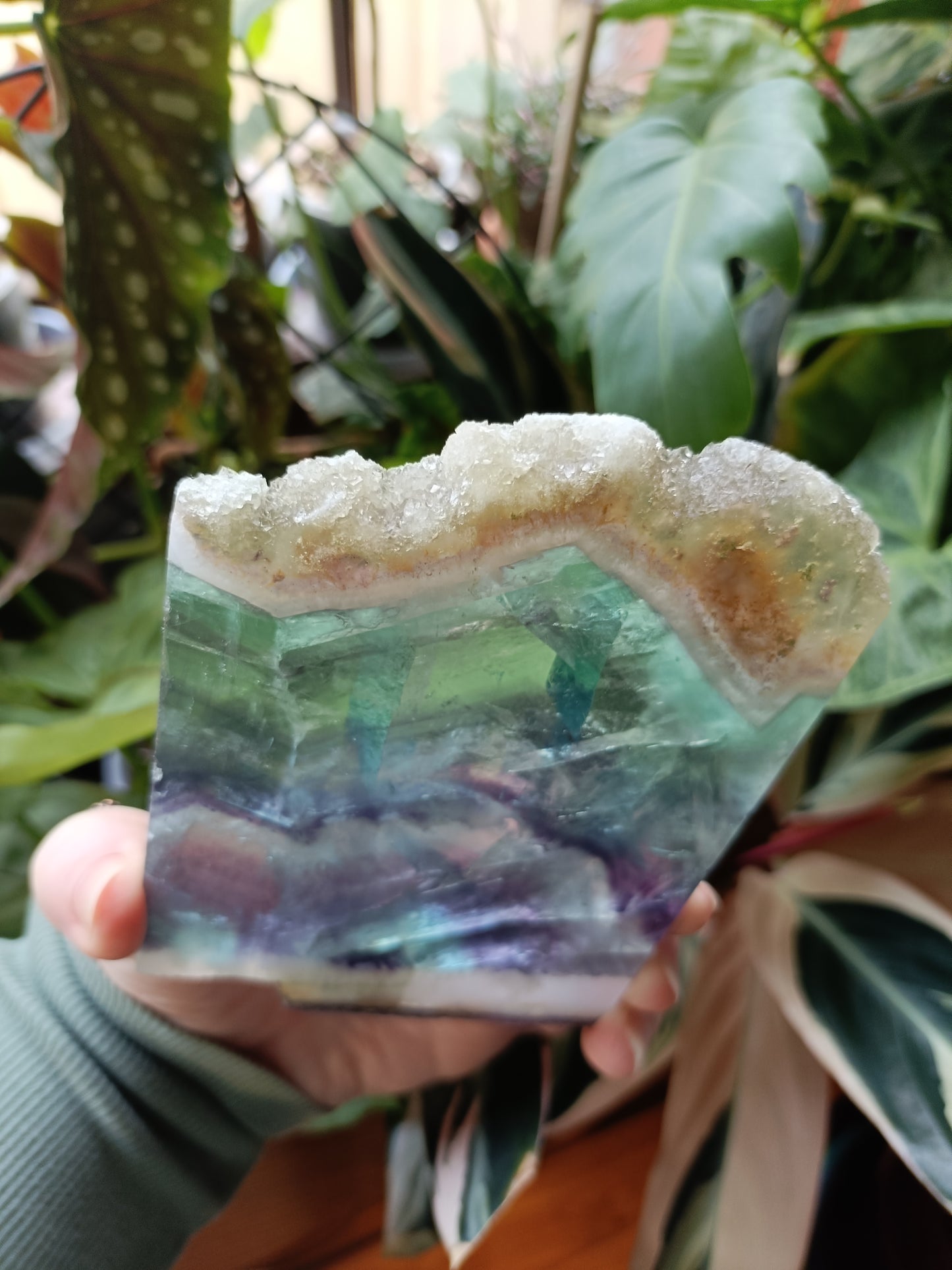 Raw Edge Fluorite Polished Slab - 305g