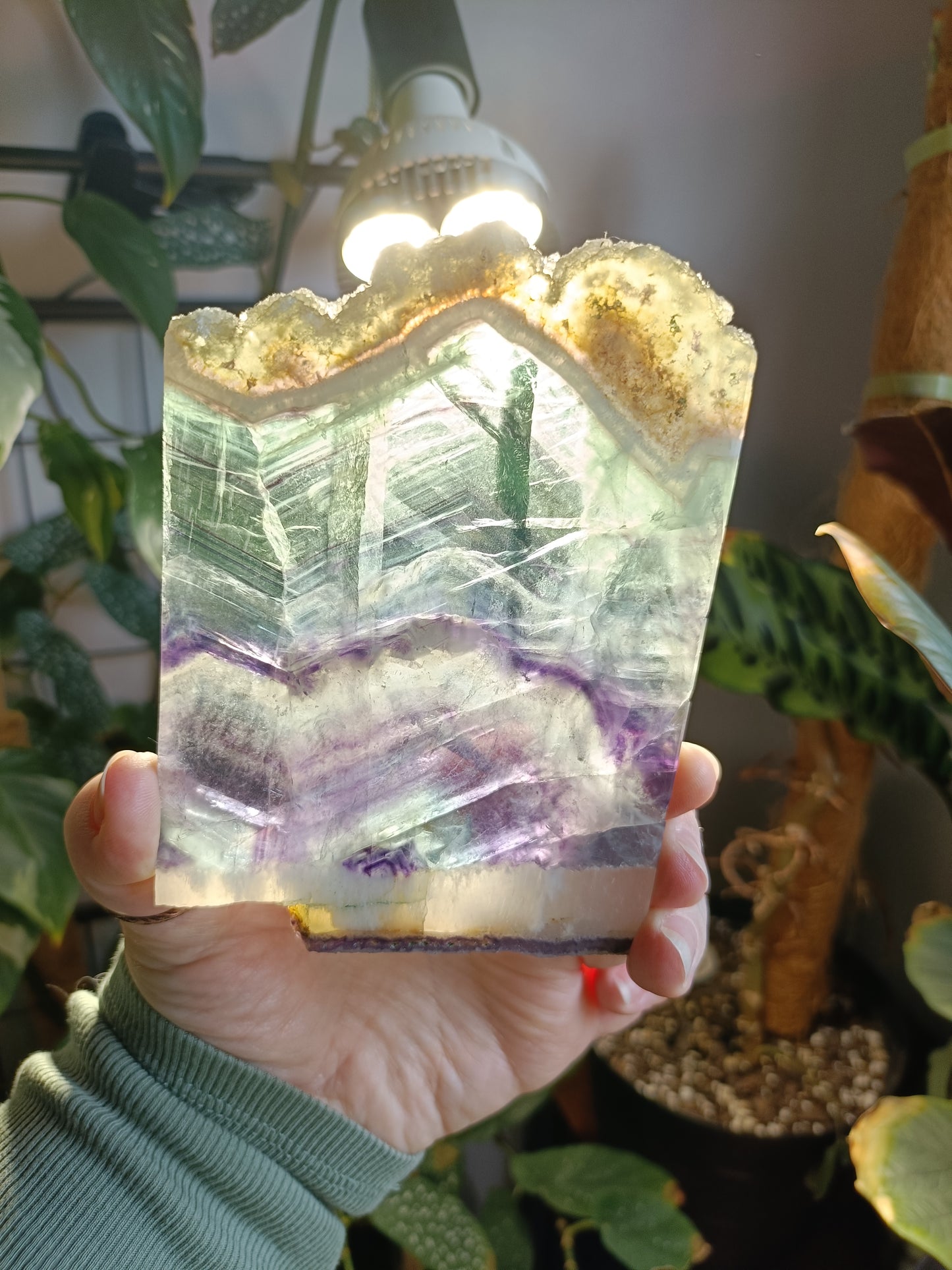 Raw Edge Fluorite Polished Slab - 305g