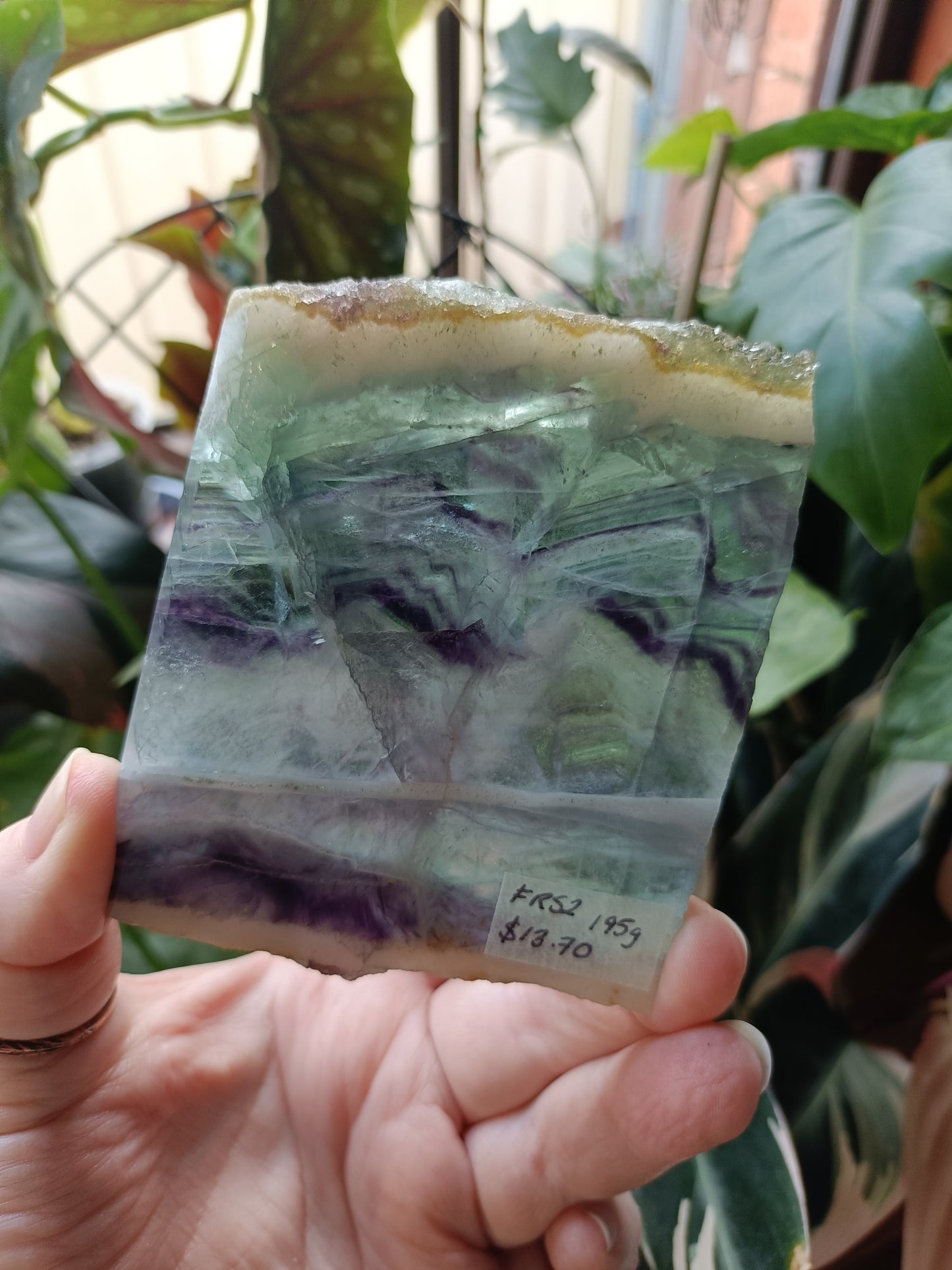 Raw Edge Fluorite Polished Slab - 195g