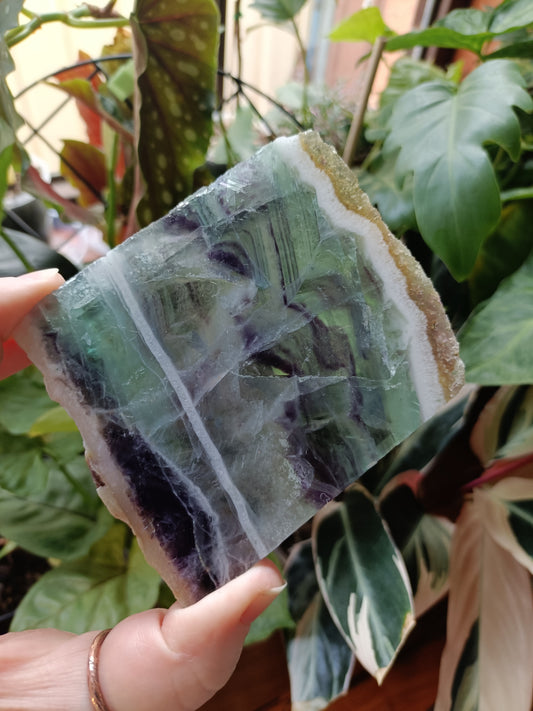 Raw Edge Fluorite Polished Slab - 195g