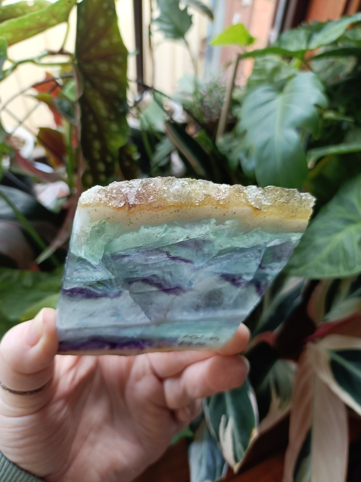 Raw Edge Fluorite Polished Slab - 195g