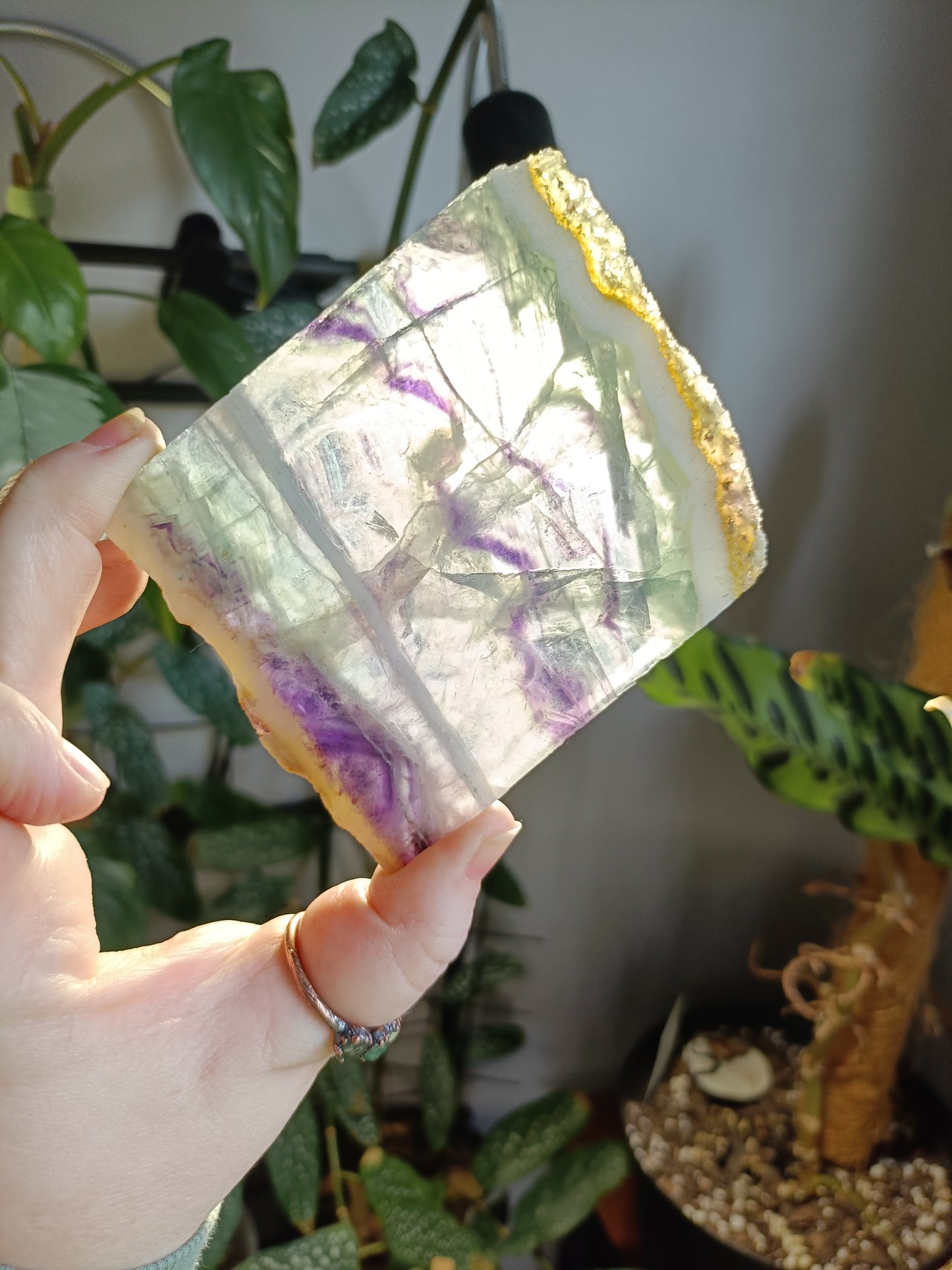 Raw Edge Fluorite Polished Slab - 195g
