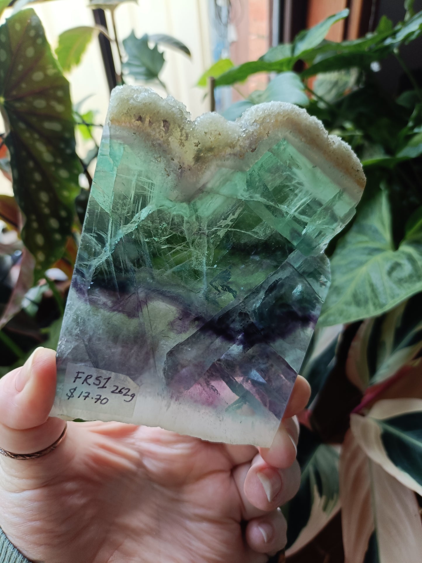 Raw Edge Fluorite Polished Slab - 262g