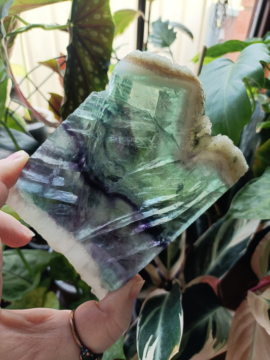 Raw Edge Fluorite Polished Slab - 262g
