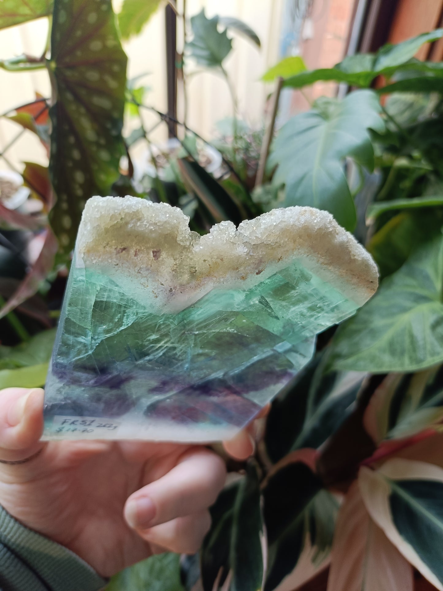 Raw Edge Fluorite Polished Slab - 262g