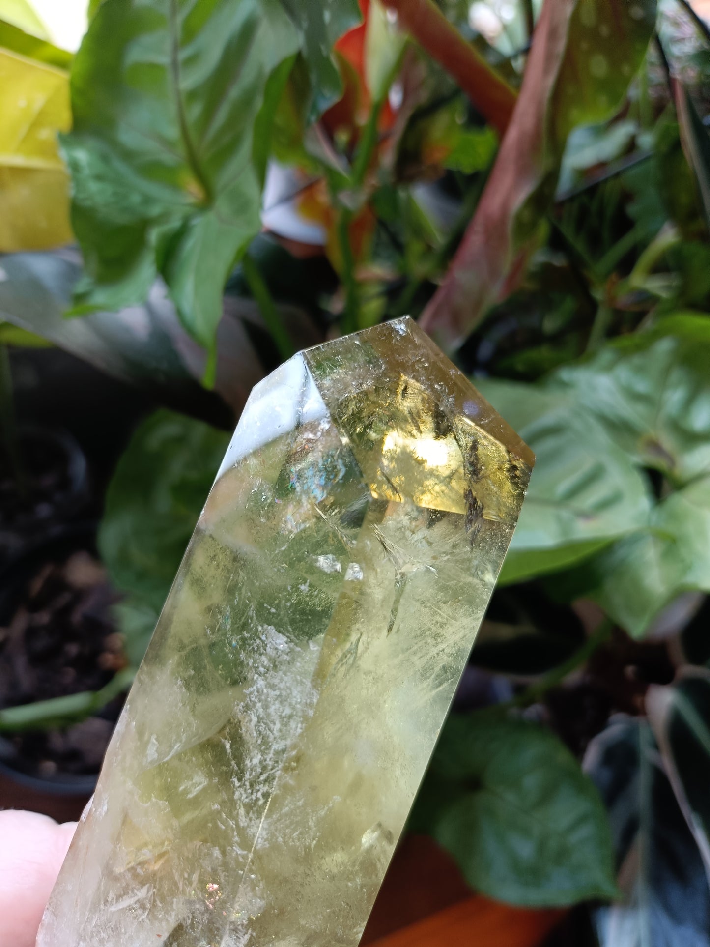 Citrine Point with Custom Stand - 350g