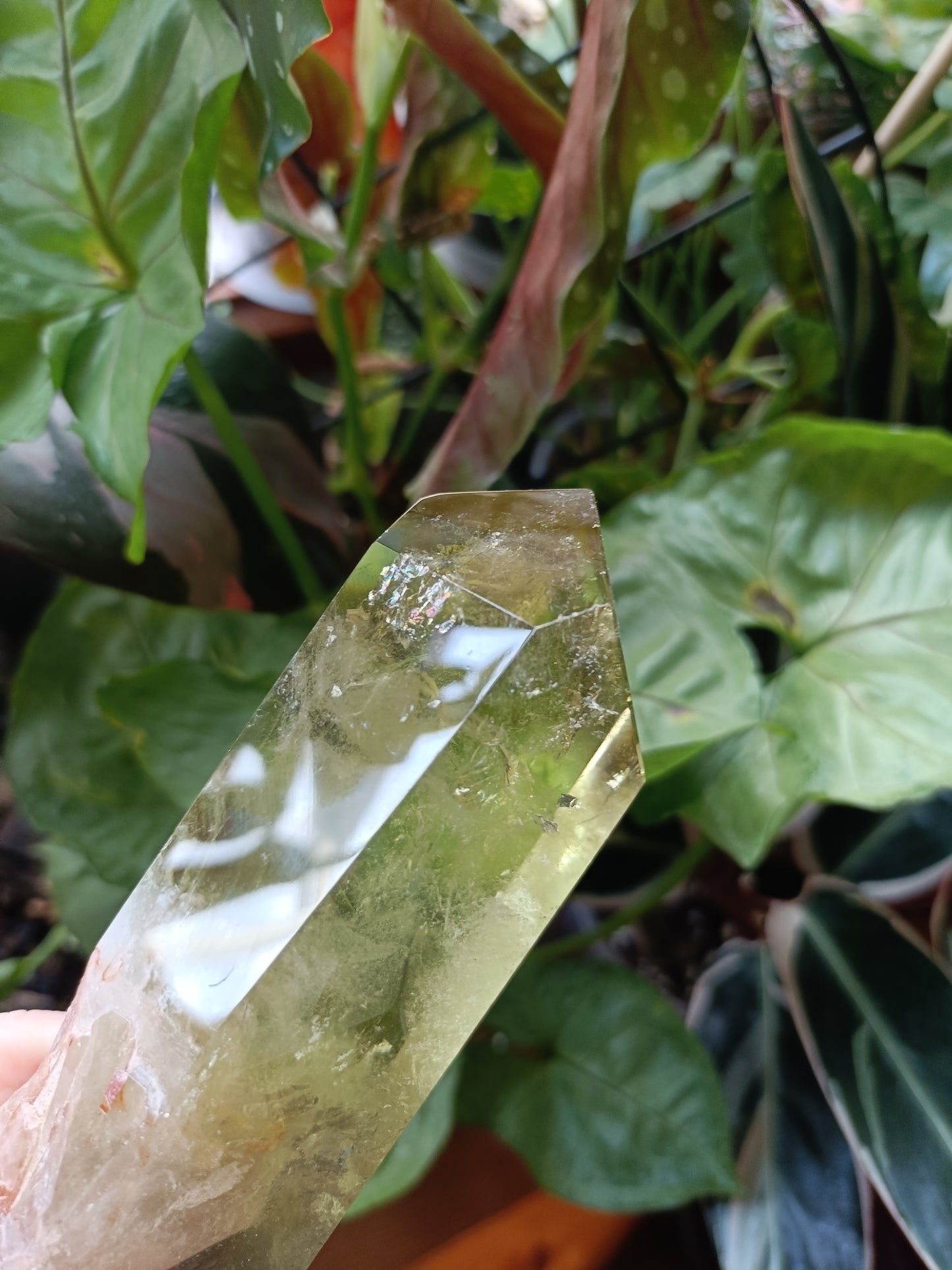 Citrine Point with Custom Stand - 350g