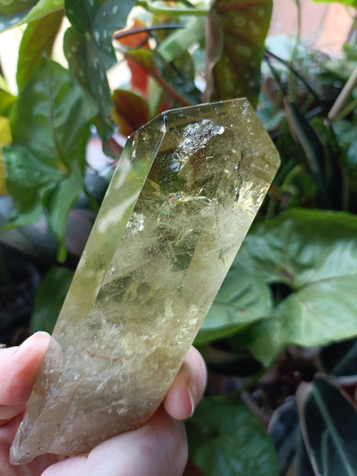 Citrine Point with Custom Stand - 350g
