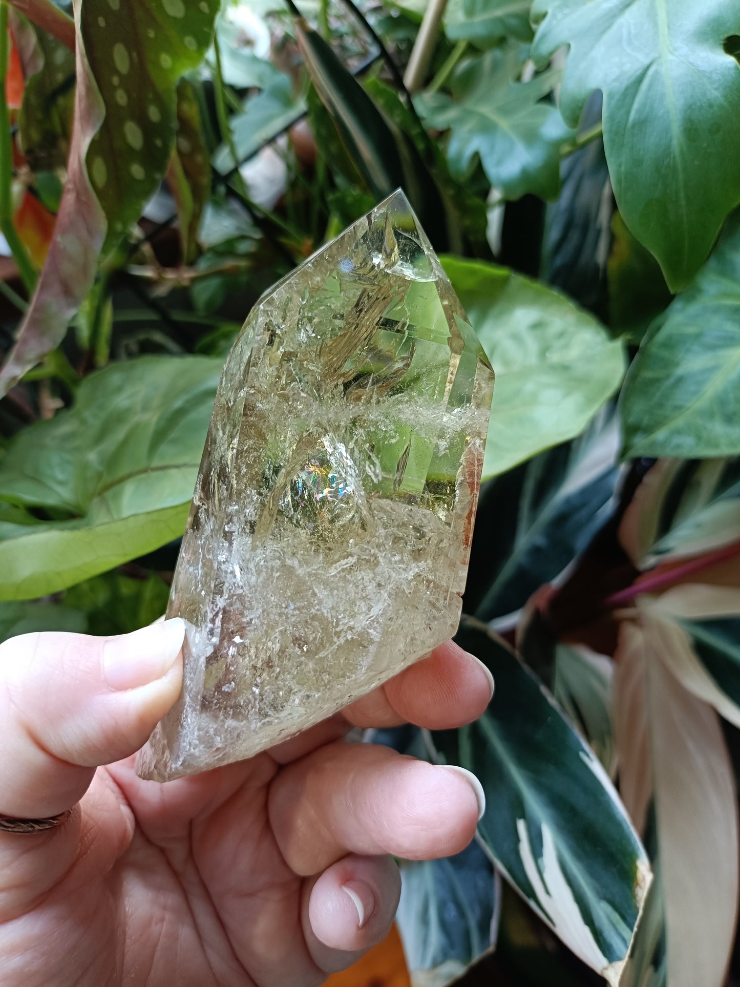 Citrine Point with Custom Stand - 226g