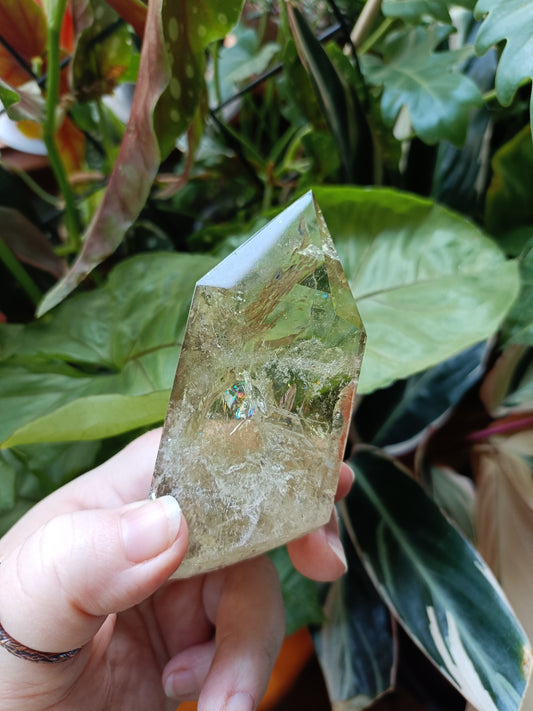 Citrine Point with Custom Stand - 226g