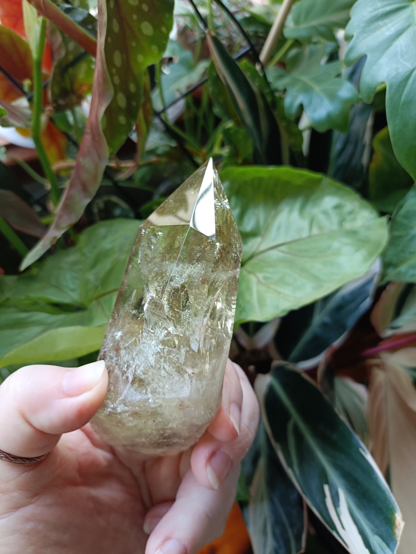 Citrine Point with Custom Stand - 226g