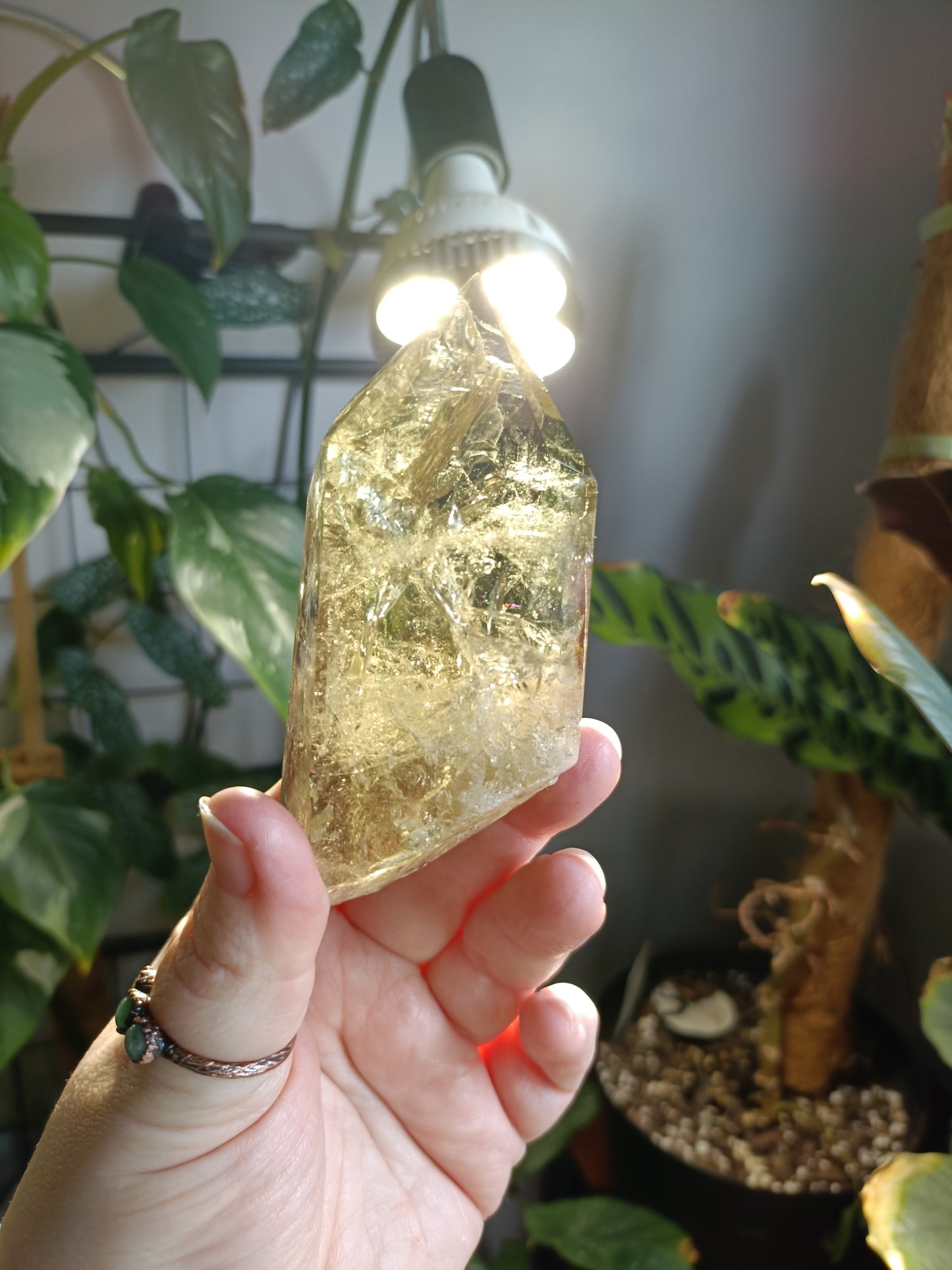 Citrine Point with Custom Stand - 226g