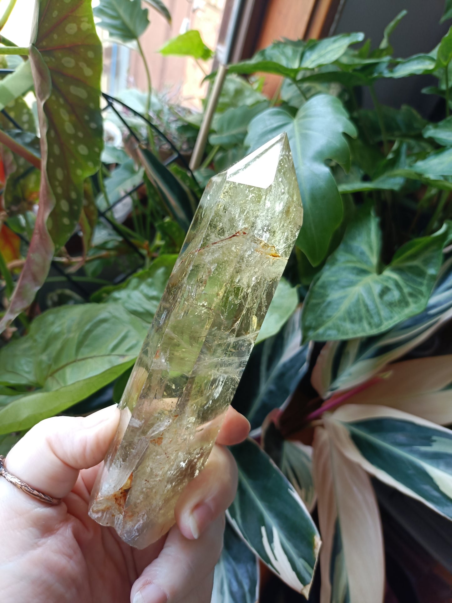 Citrine Point with Custom Stand - 425g